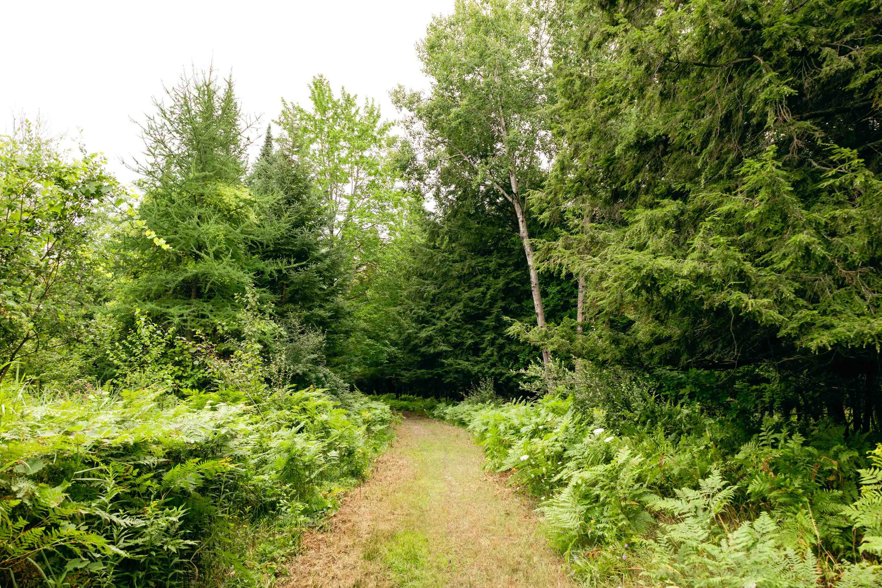00 E Birch Point Road Property Photo 25