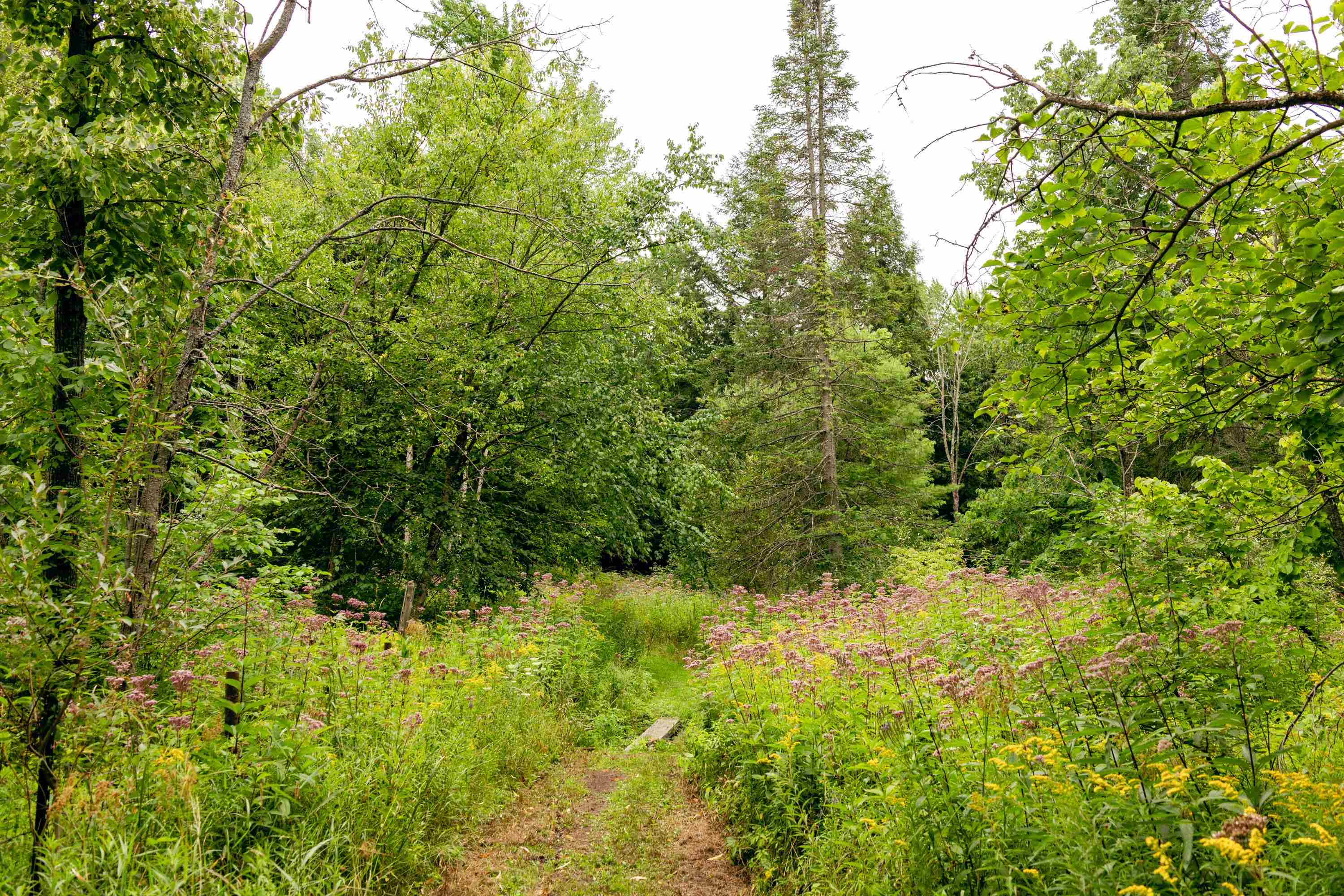 00 E Birch Point Road Property Photo 29