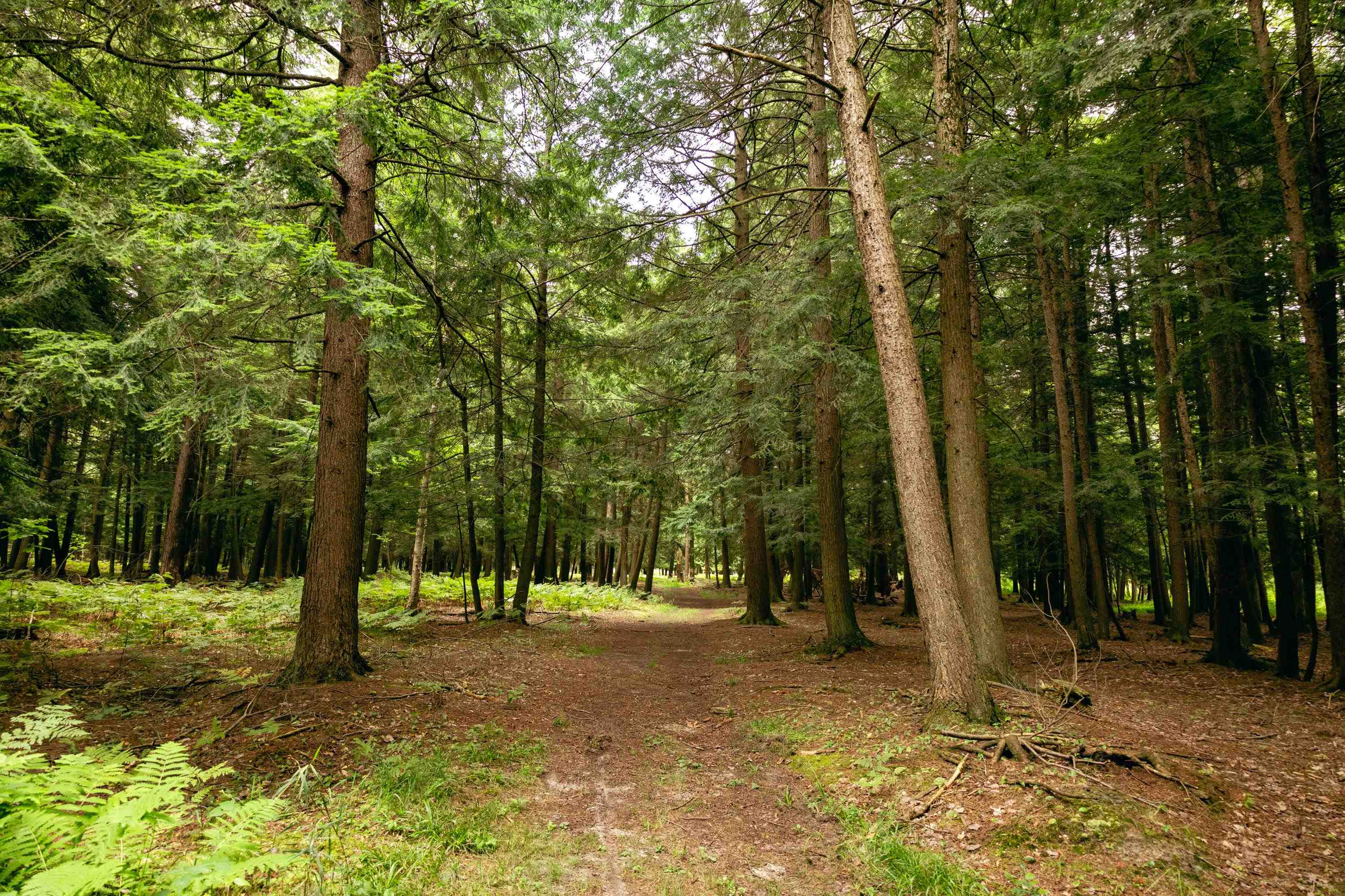 00 E Birch Point Road Property Photo 44