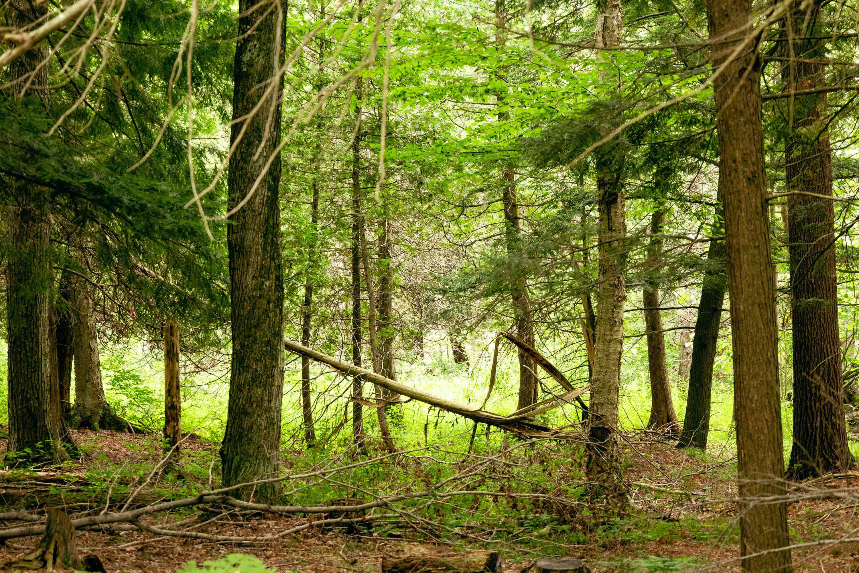 00 E Birch Point Road Property Photo 45