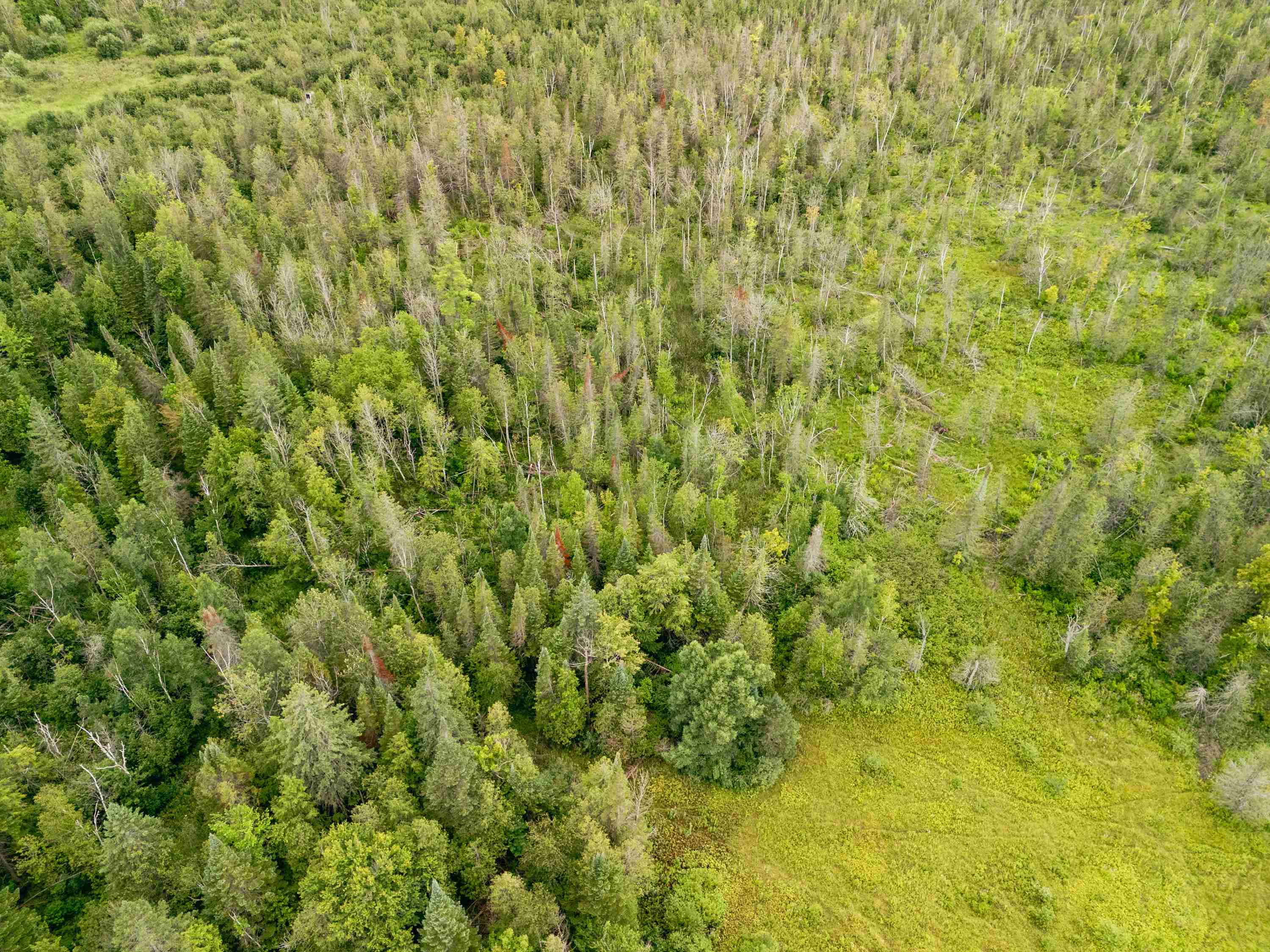 00 E Birch Point Road Property Photo 66