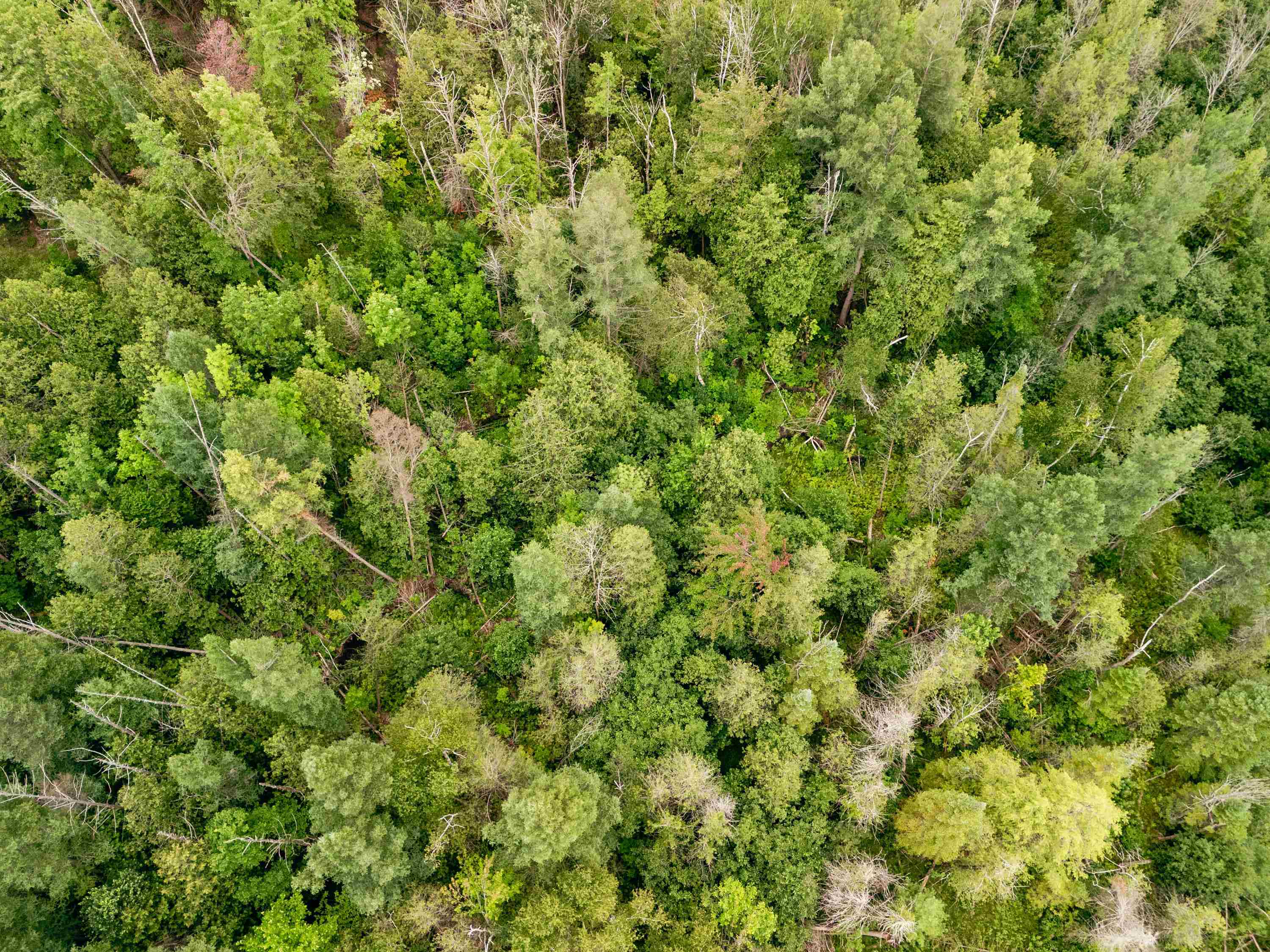 00 E Birch Point Road Property Photo 67