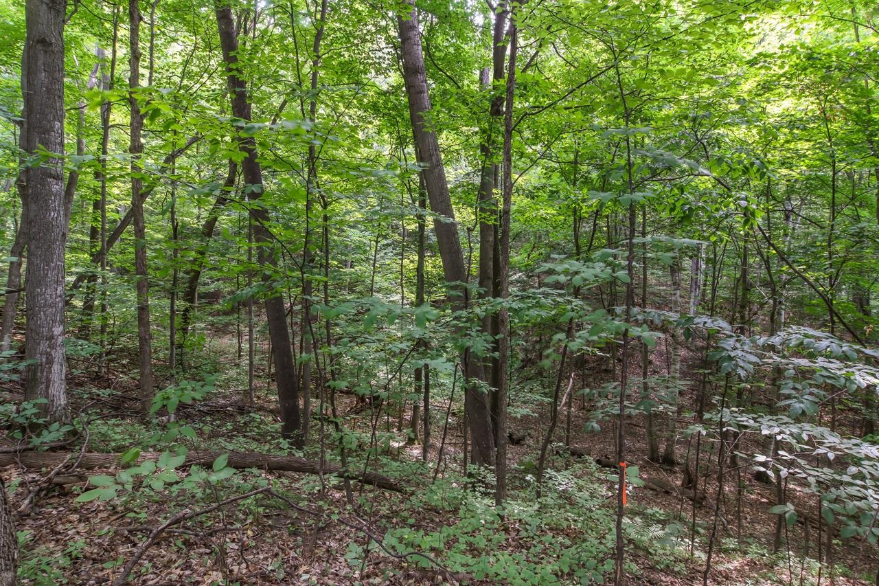 N Hoeft Road Property Photo 5