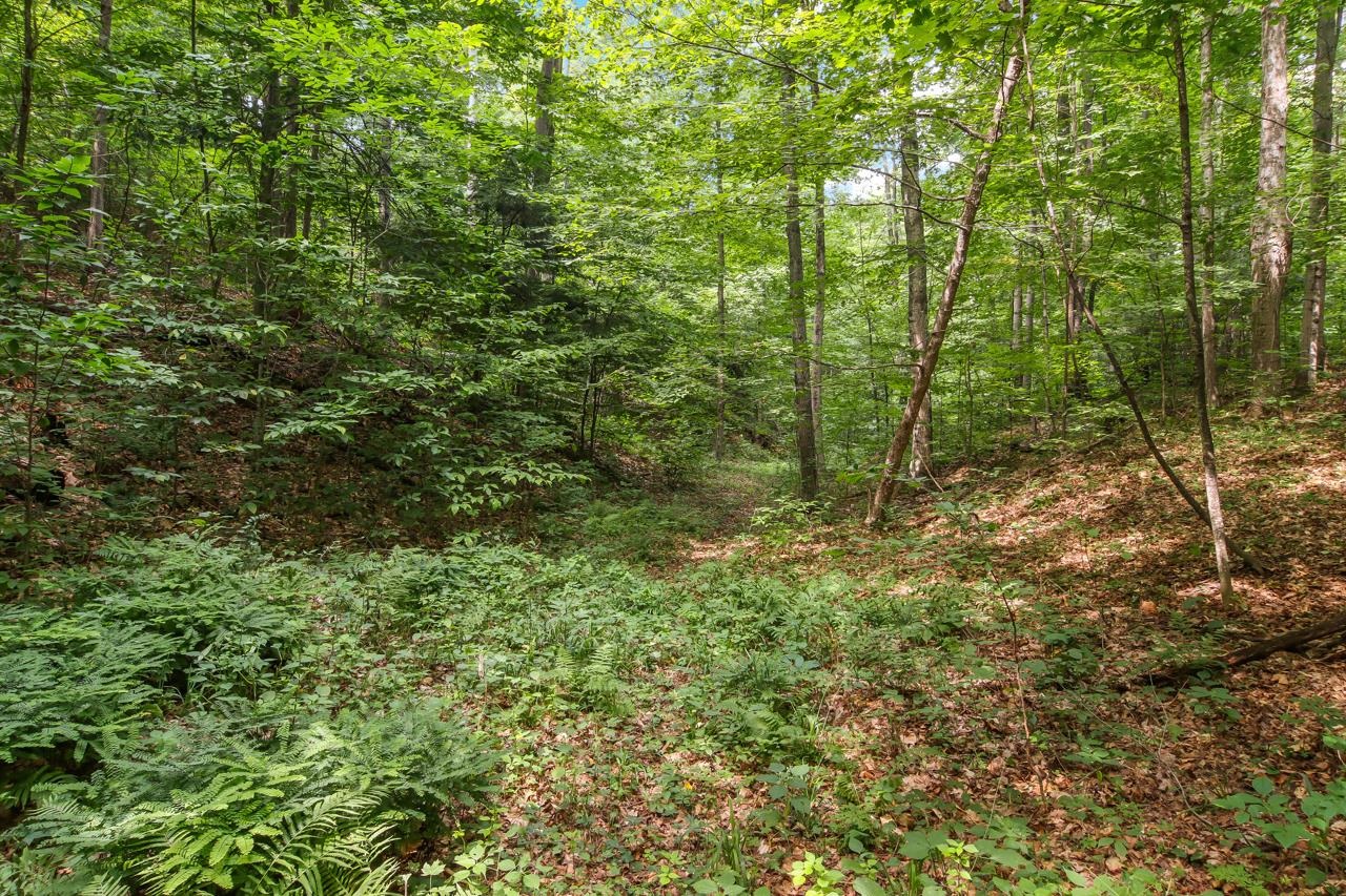 N Hoeft Road Property Photo 12