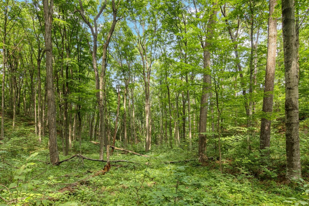 N Hoeft Road Property Photo 13
