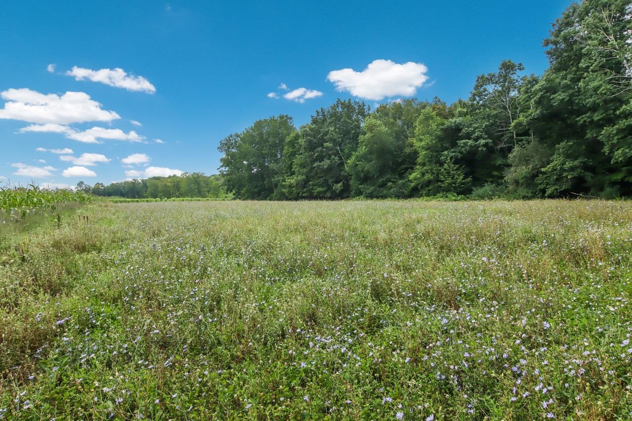 N Hoeft Road Property Photo 22