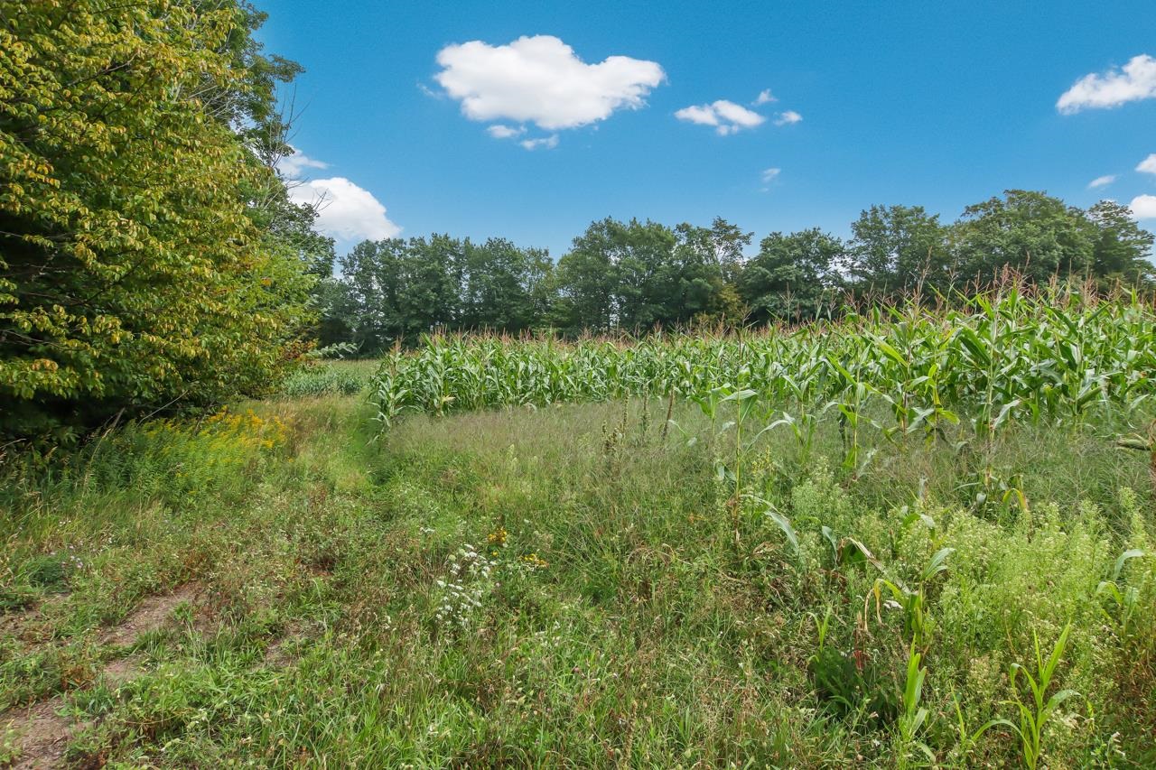 N Hoeft Road Property Photo 23