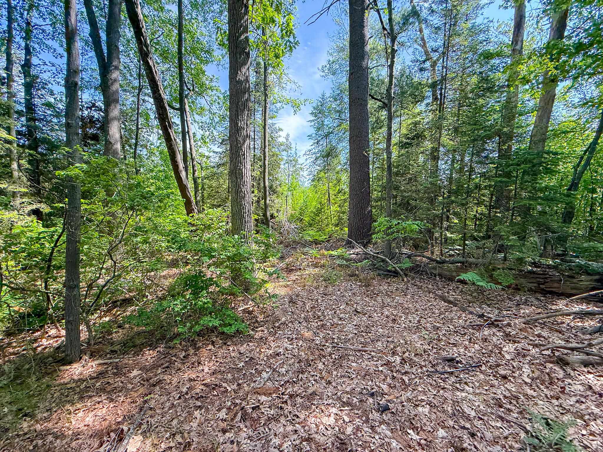 111 9th Street Property Photo 5