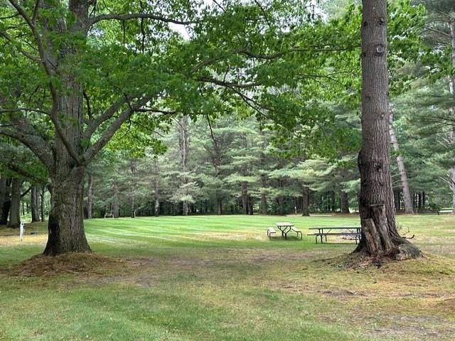 6845 Pinebrook Drive Property Photo 5