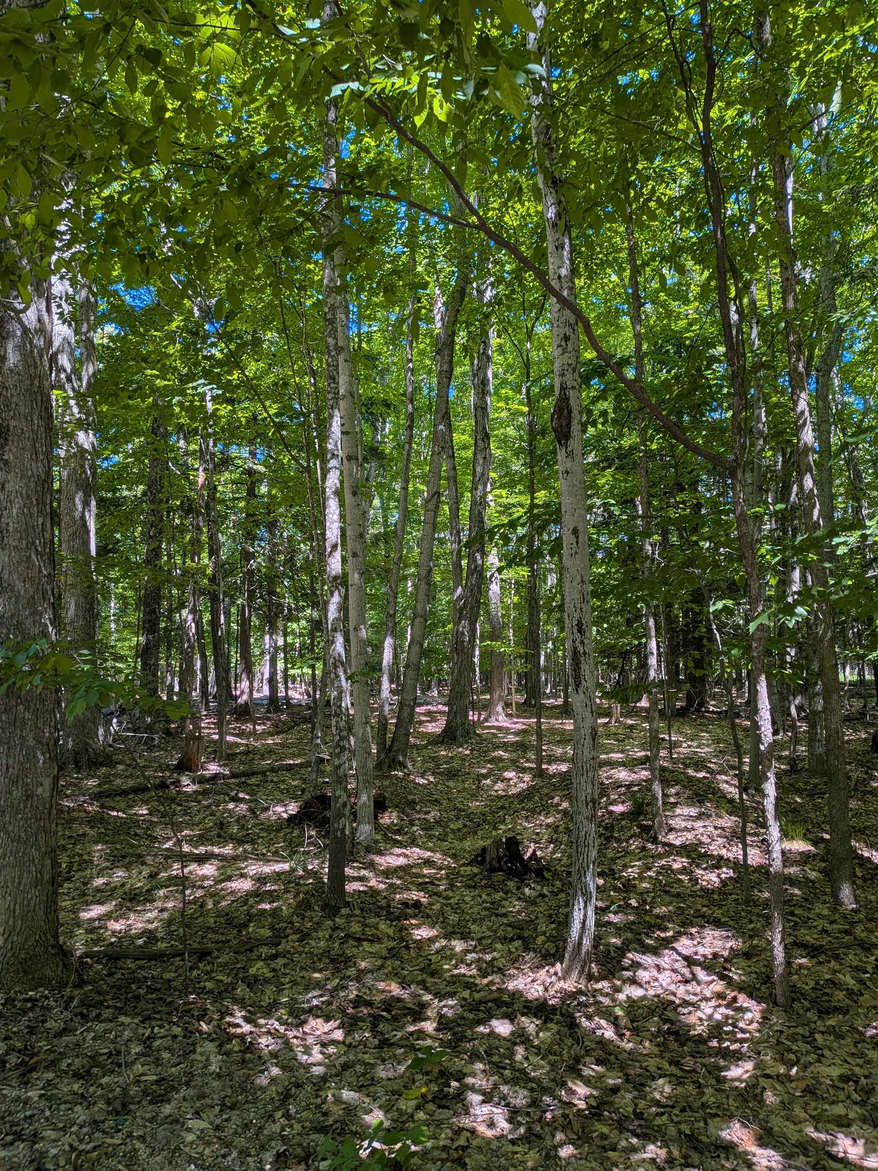 M-48 Property Photo 1