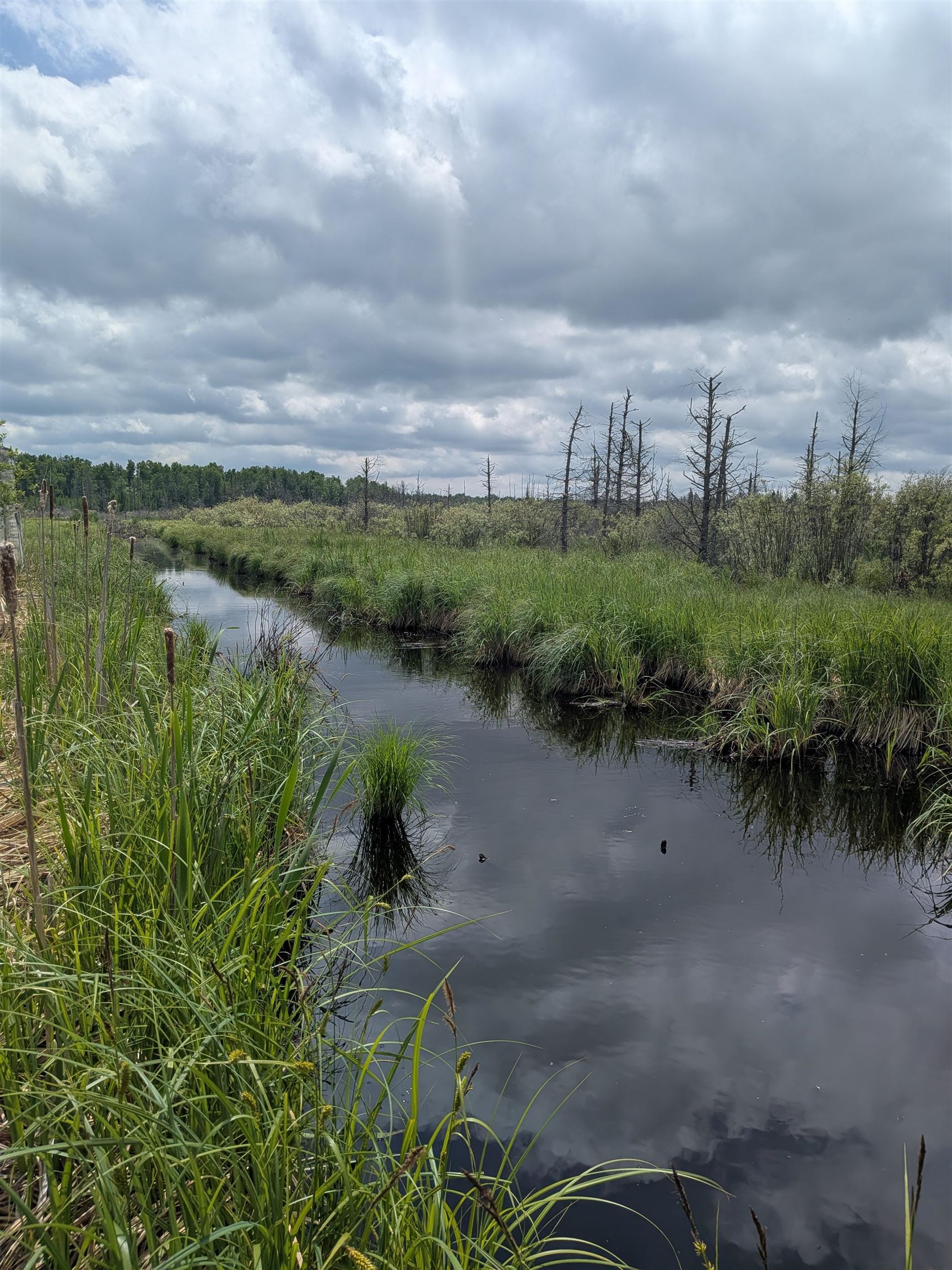 M-48 Property Photo 2