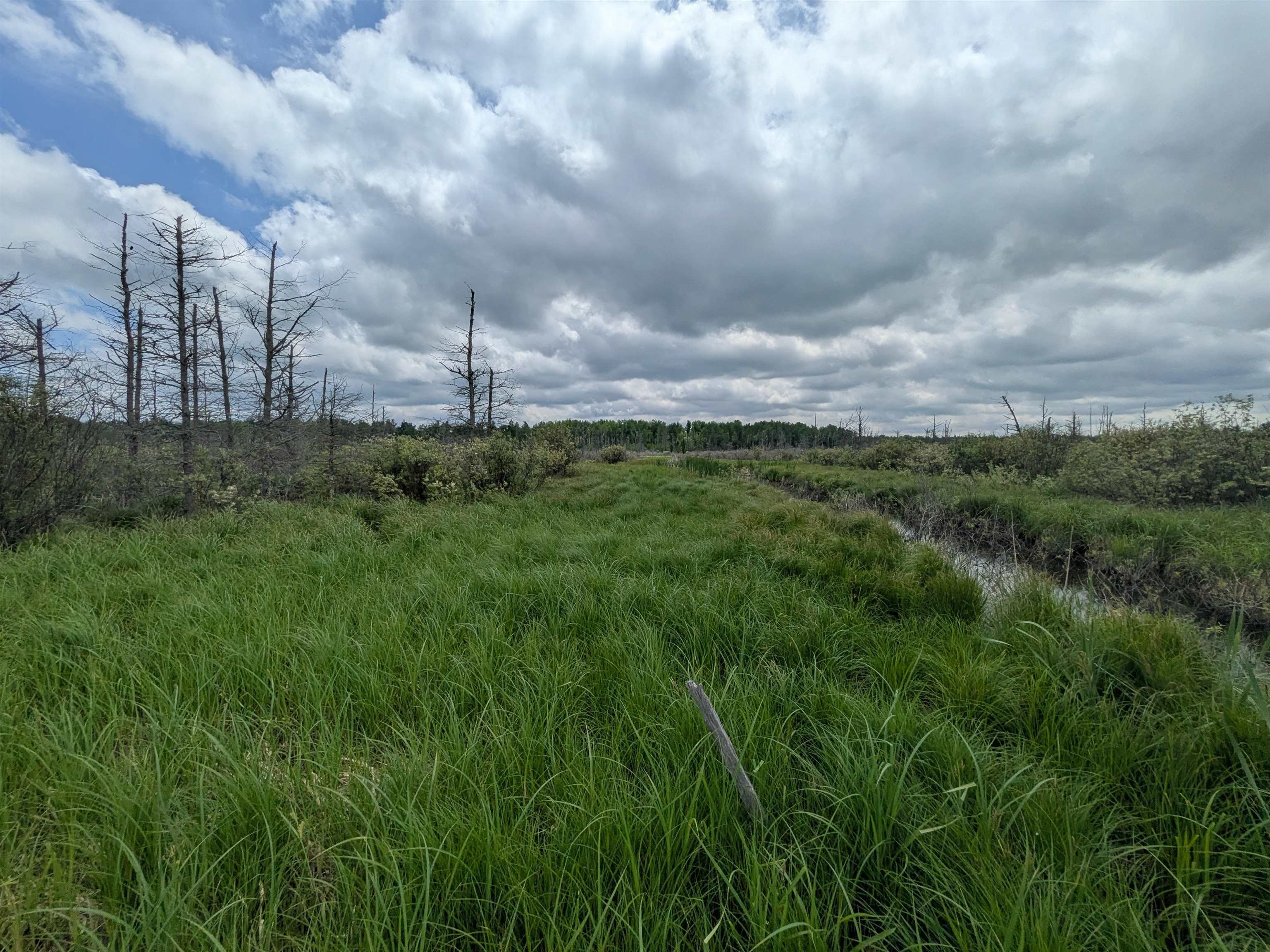 M-48 Property Photo 3