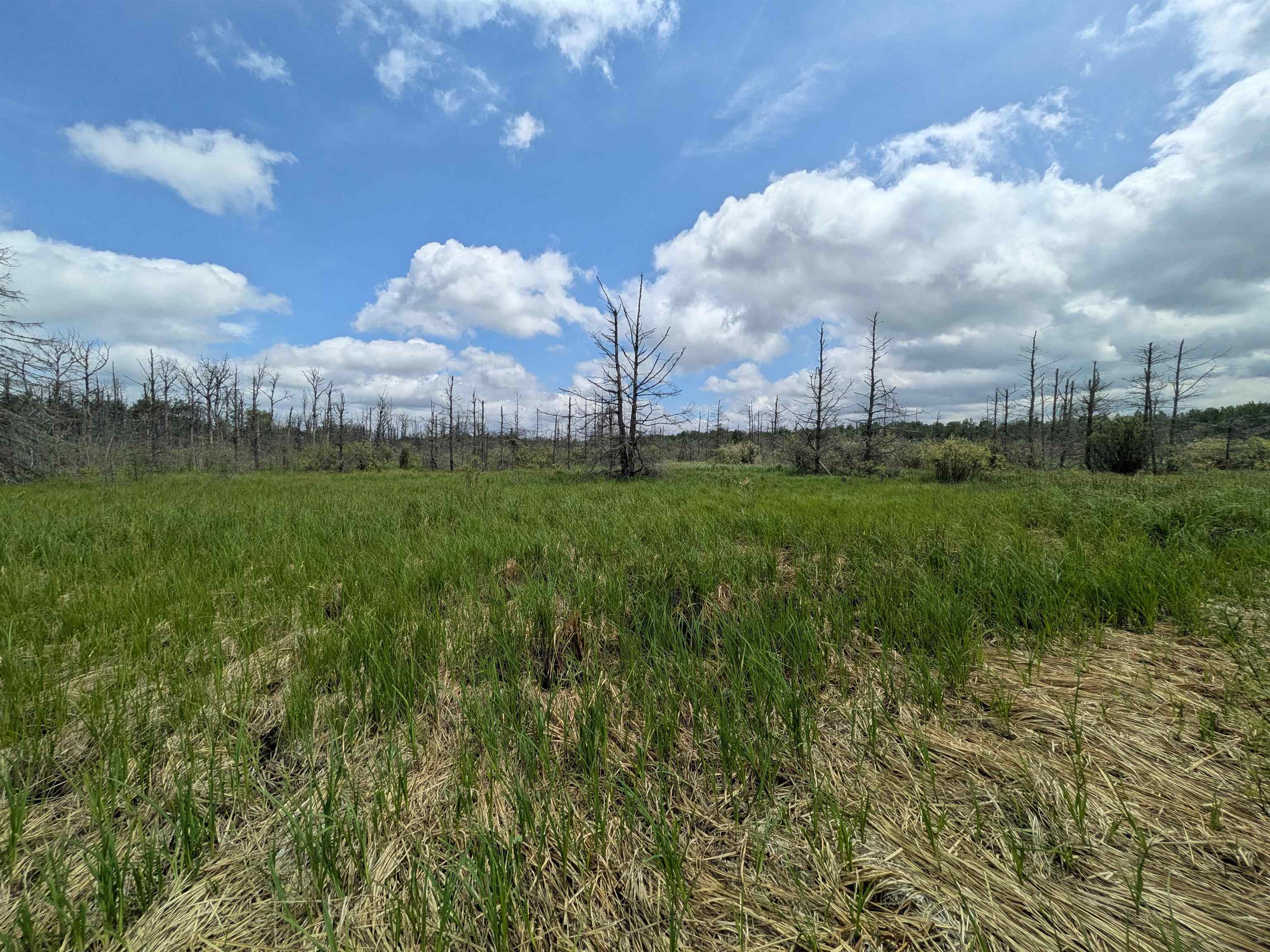 M-48 Property Photo 4