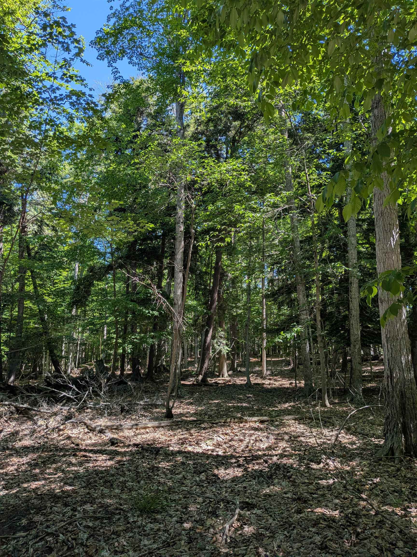 M-48 Property Photo 6