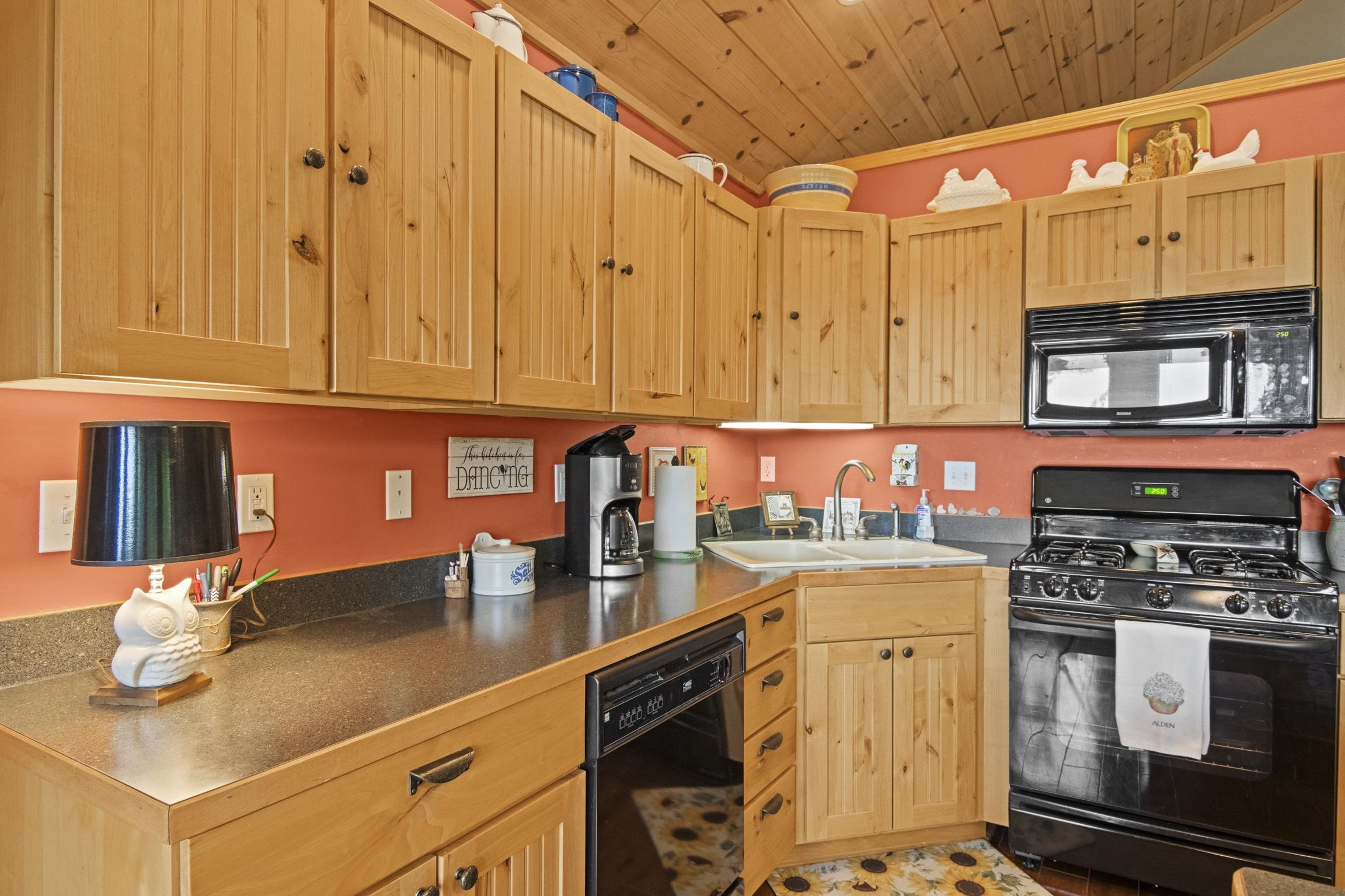 337 S East Torch Lake Drive Property Photo 19