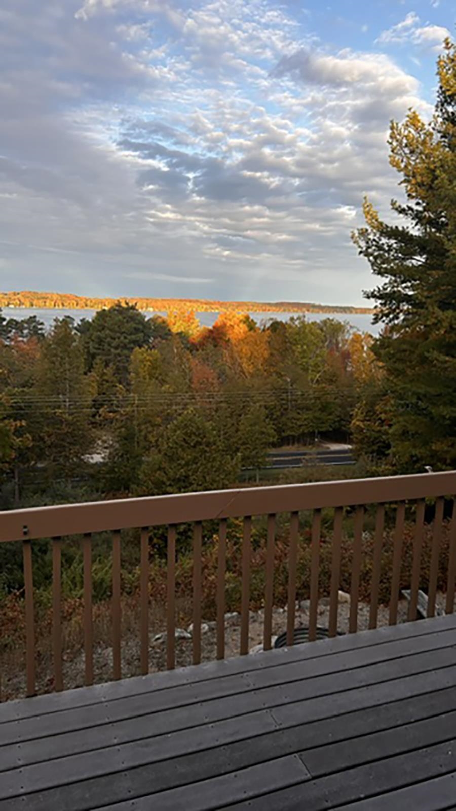 337 S East Torch Lake Drive Property Photo 31