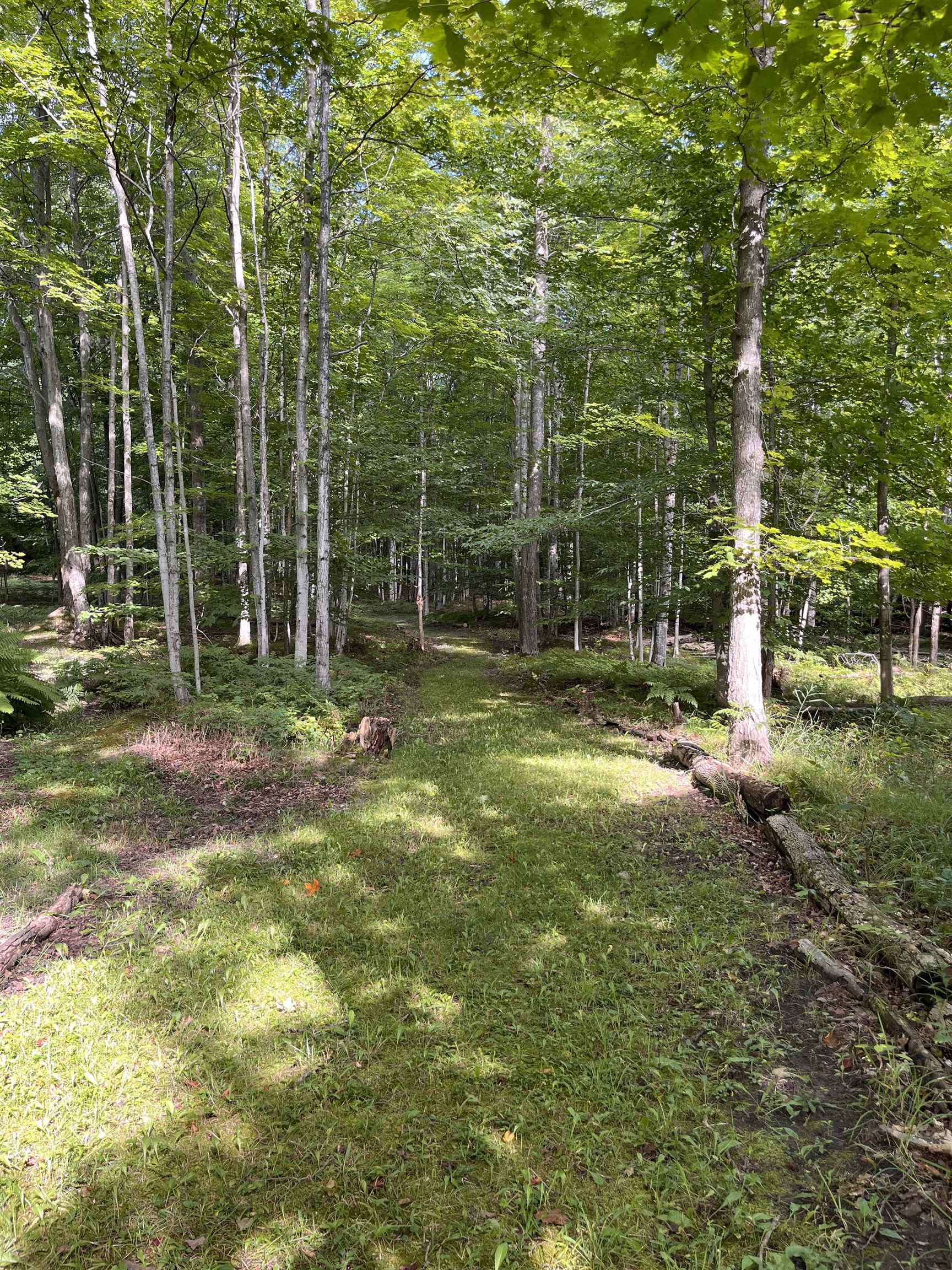 337 S East Torch Lake Drive Property Photo 55