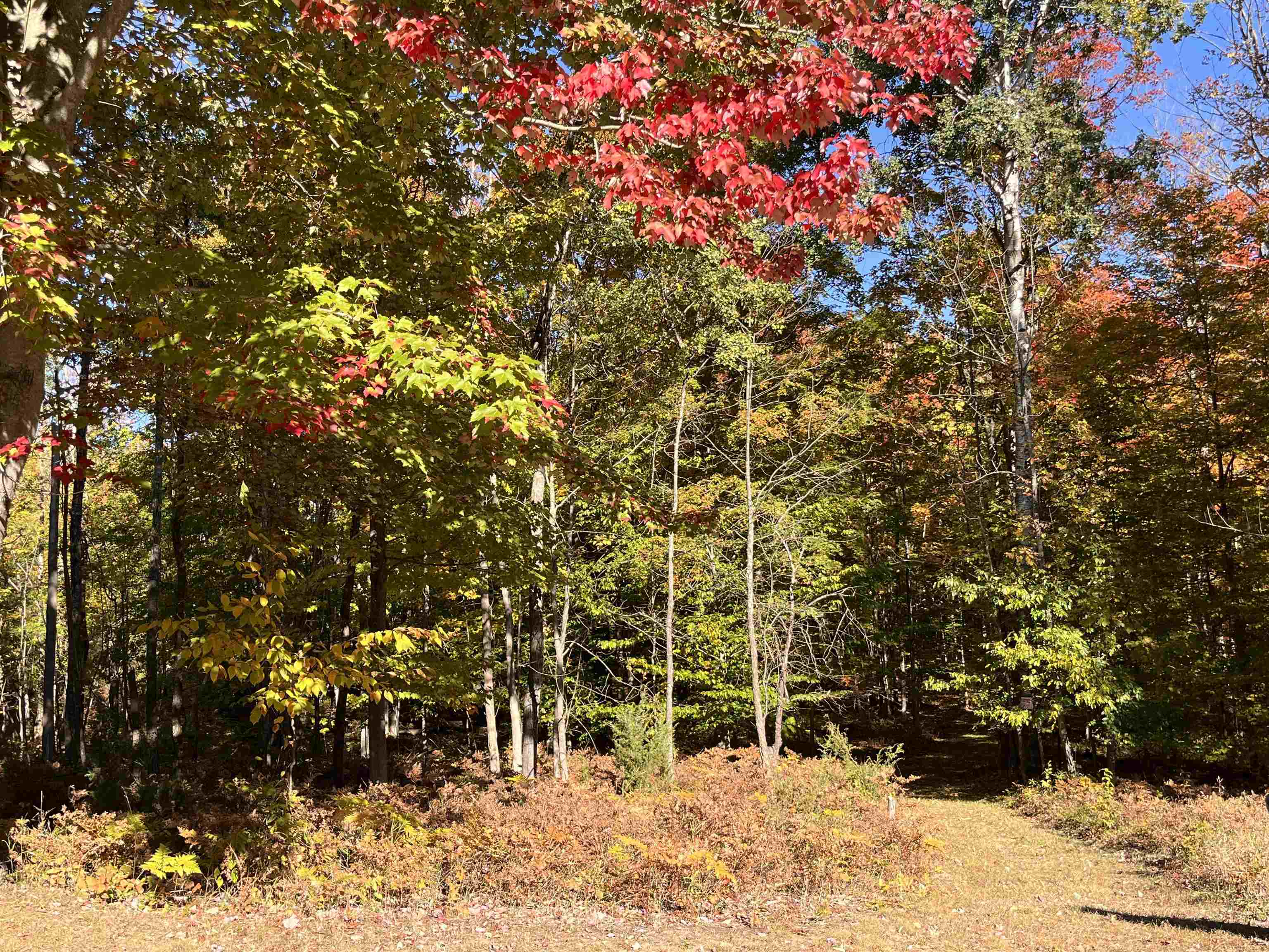 337 S East Torch Lake Drive Property Photo 57
