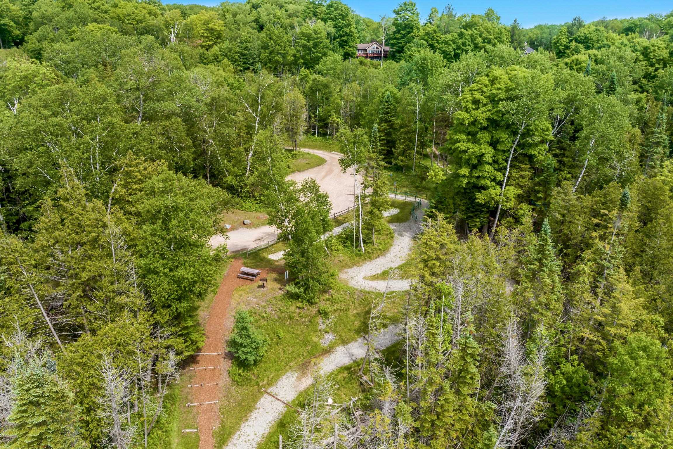 337 S East Torch Lake Drive Property Photo 64