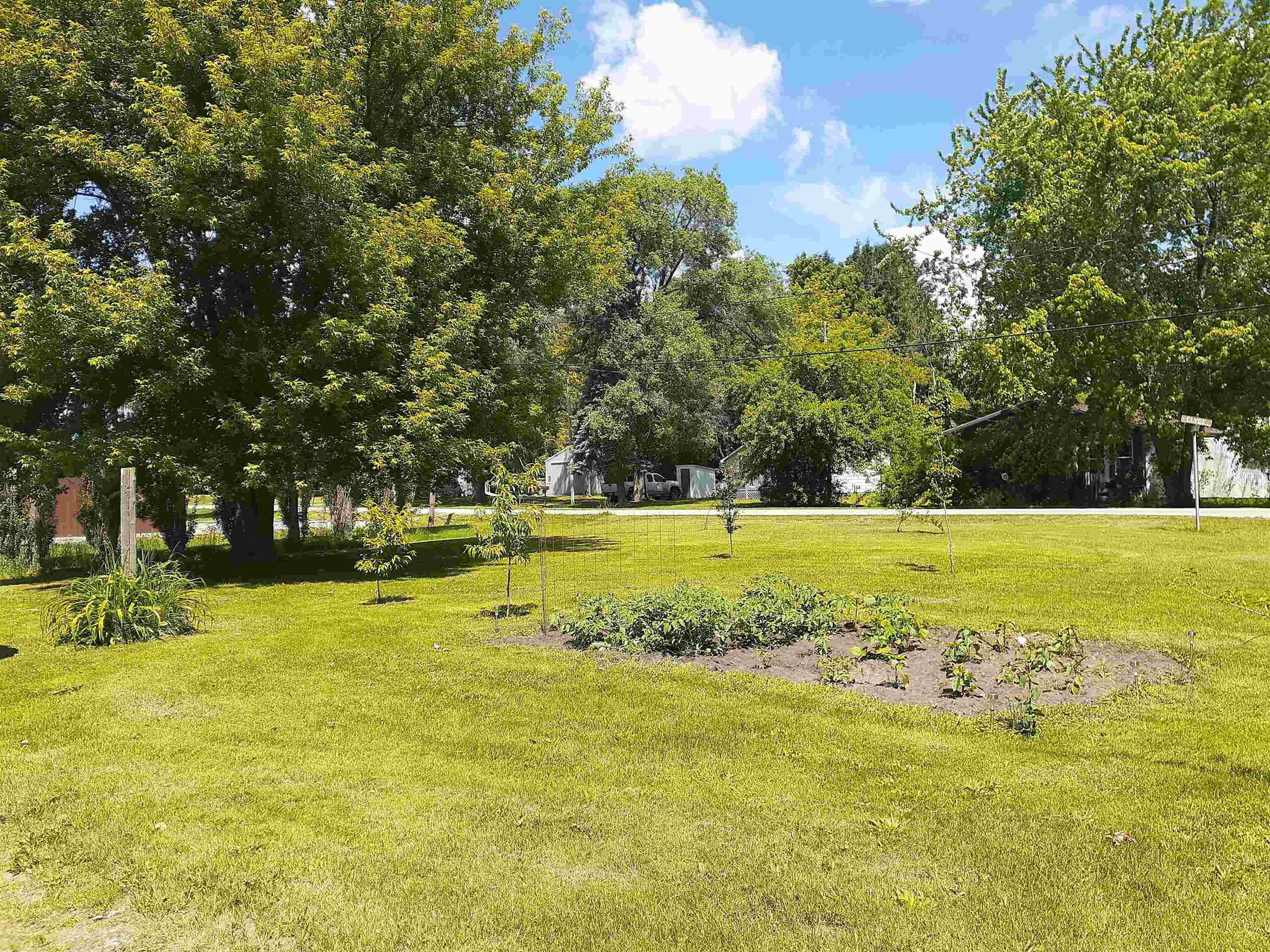 217 Clyde Street Property Photo 4
