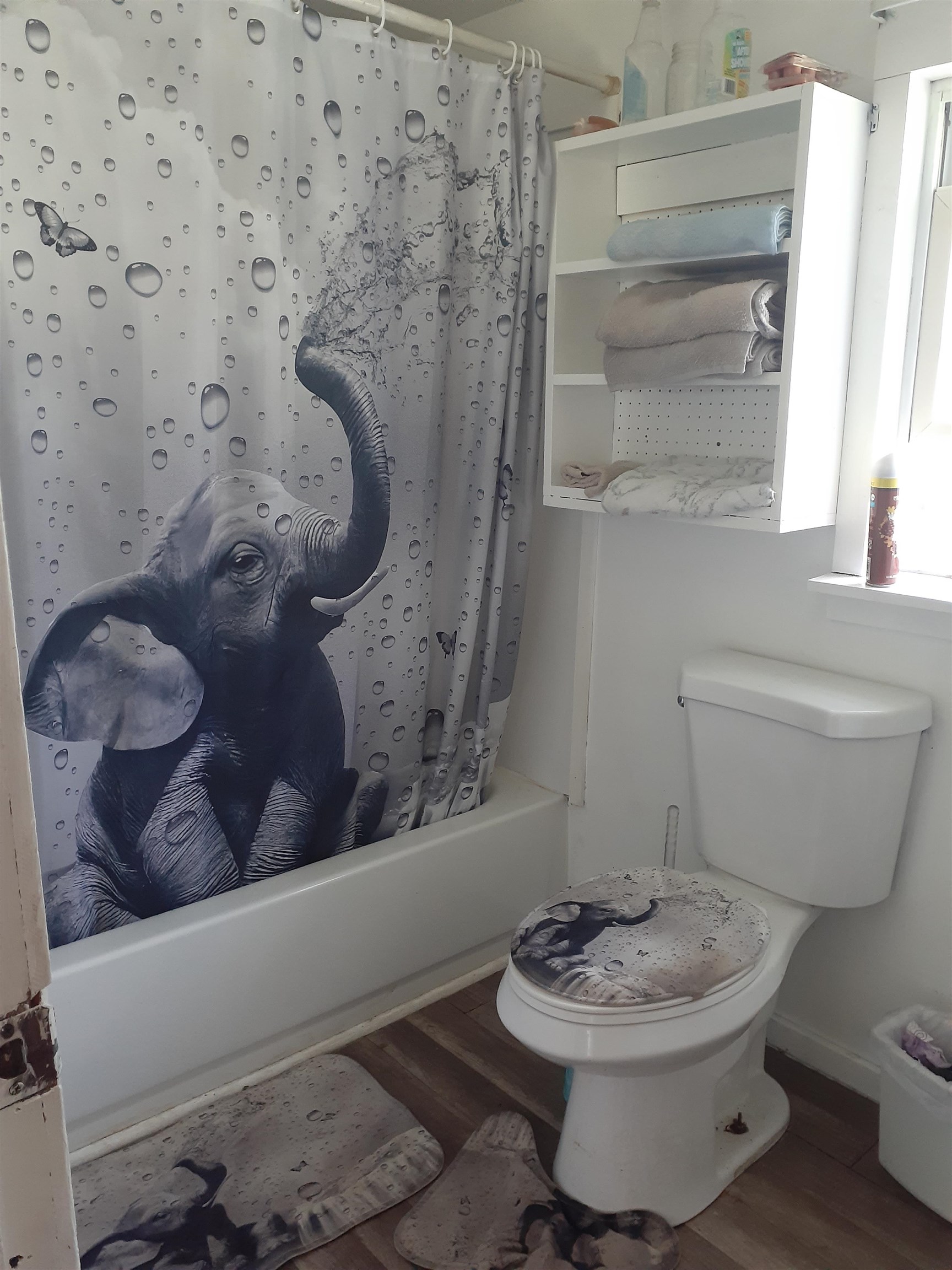 217 Clyde Street Property Photo 7