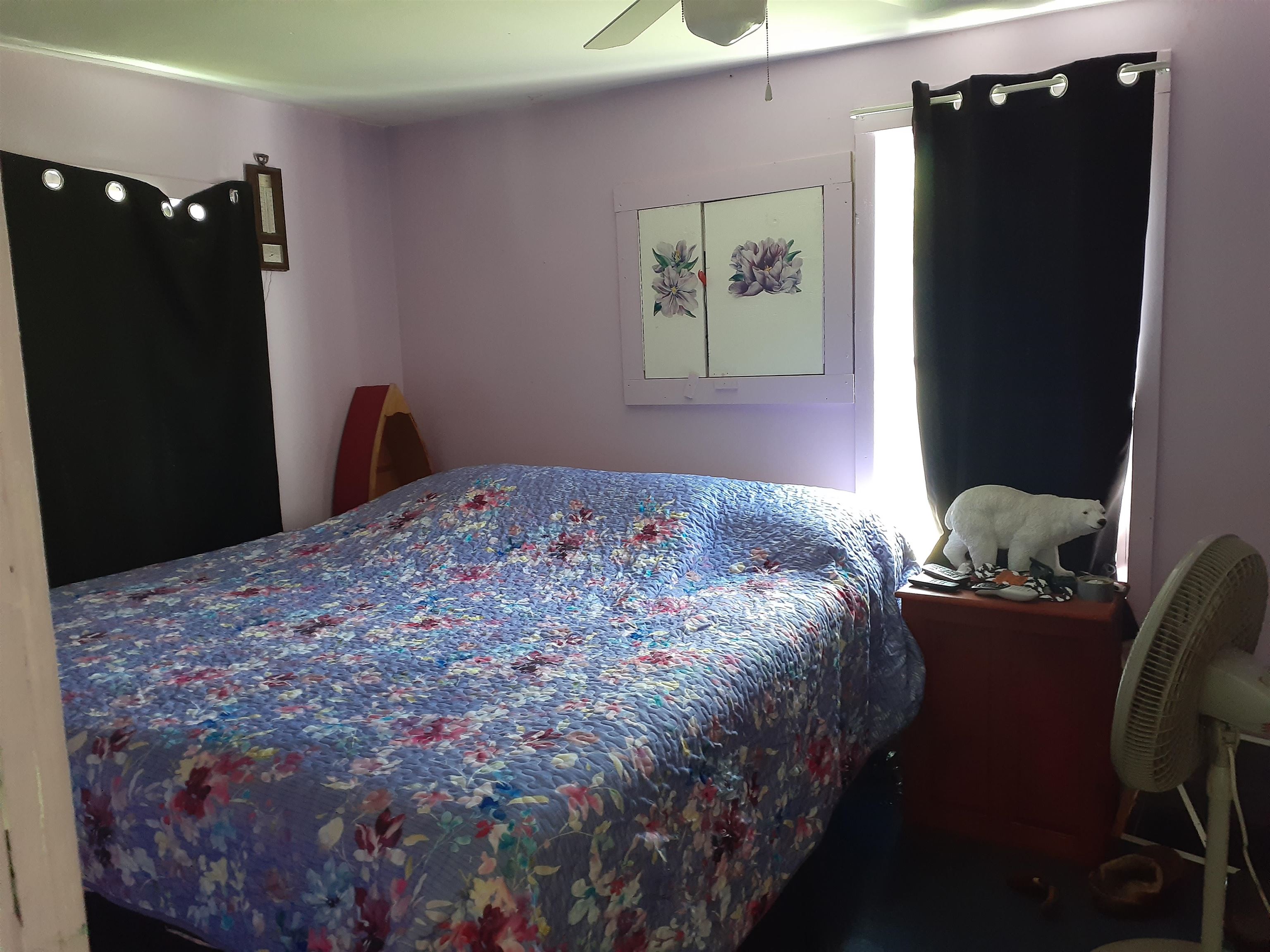 217 Clyde Street Property Photo 8
