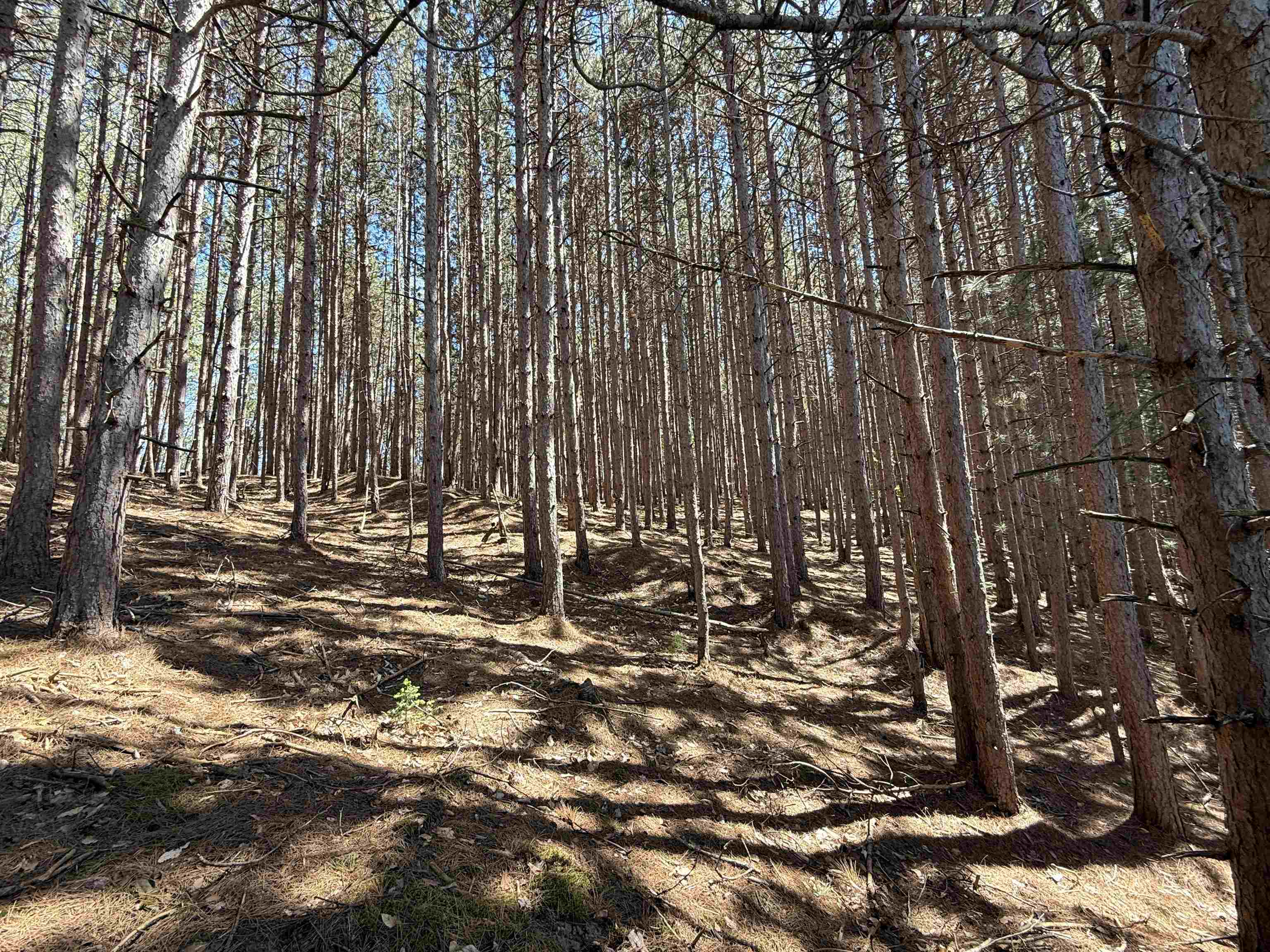 6a S Lime Lake Road Property Photo 4