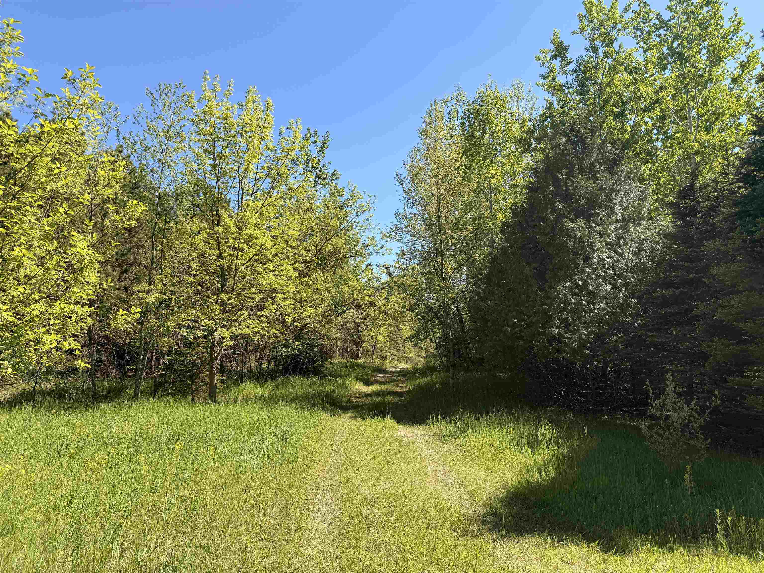 6a S Lime Lake Road Property Photo 5
