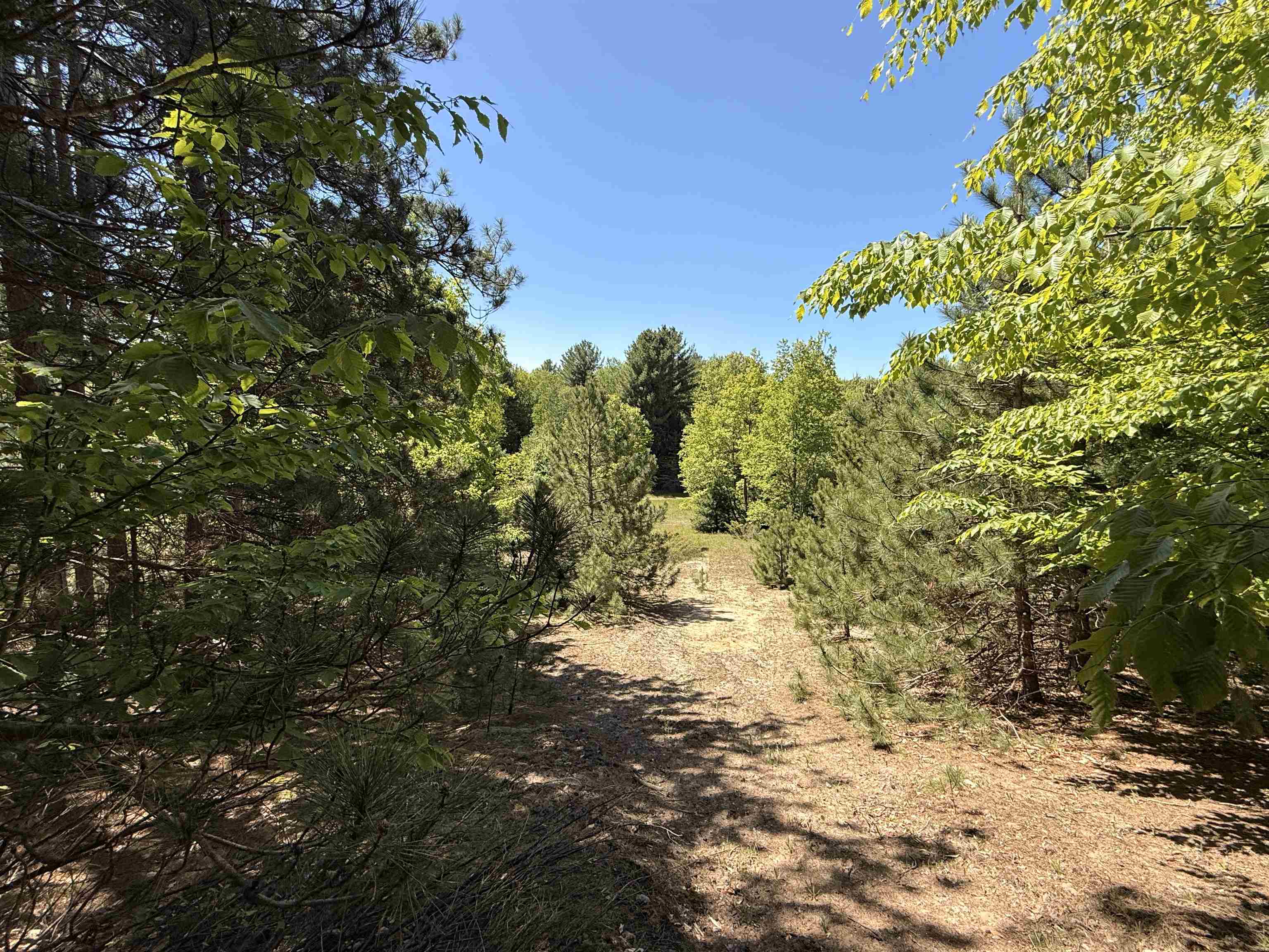 6a S Lime Lake Road Property Photo 7