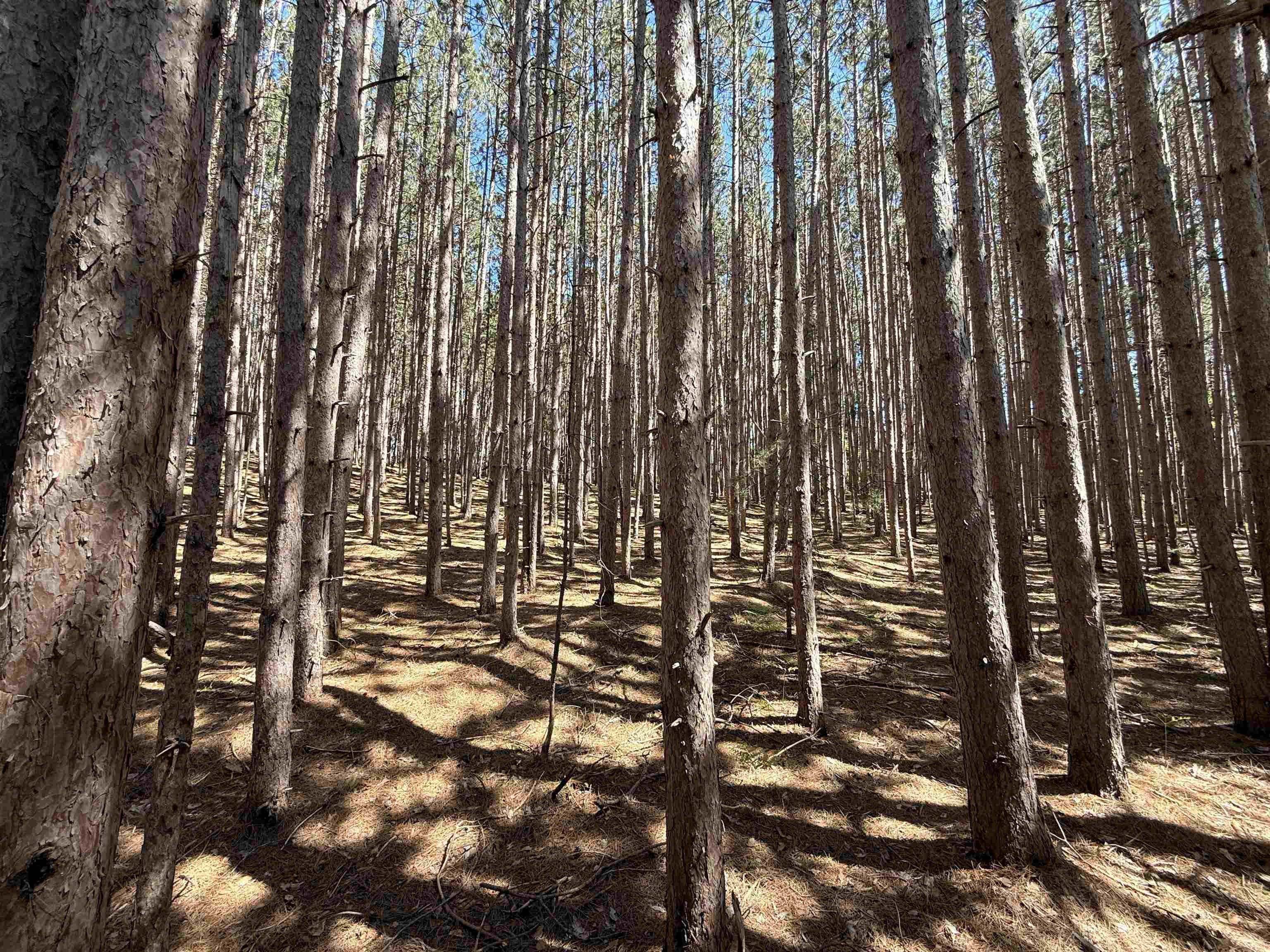 6a S Lime Lake Road Property Photo 10