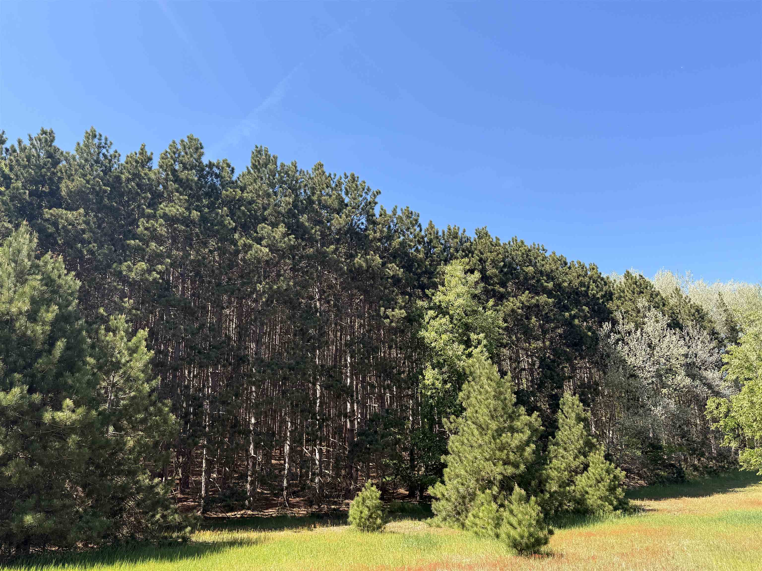 6a S Lime Lake Road Property Photo 11