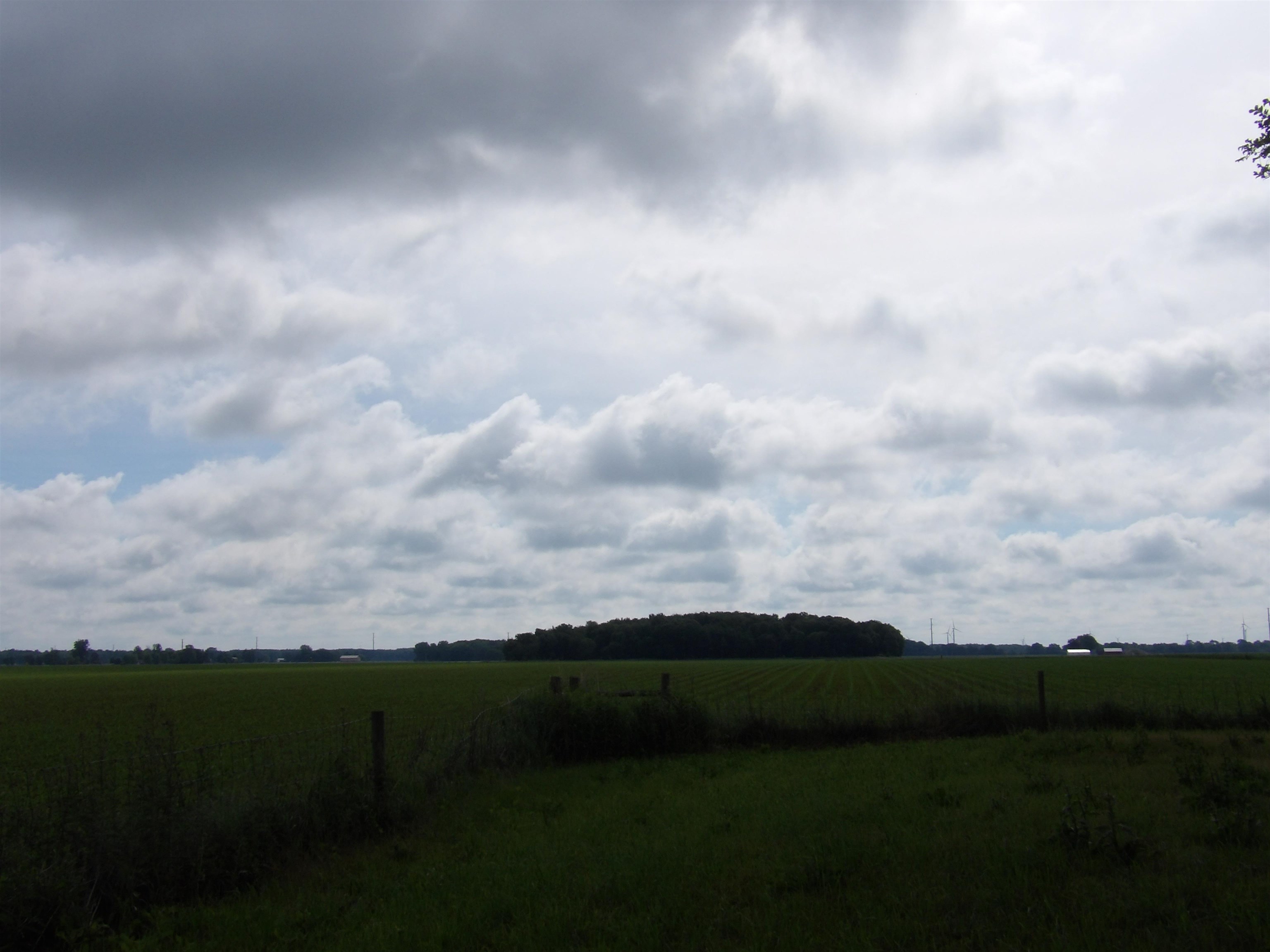 11500 N State Property Photo 4