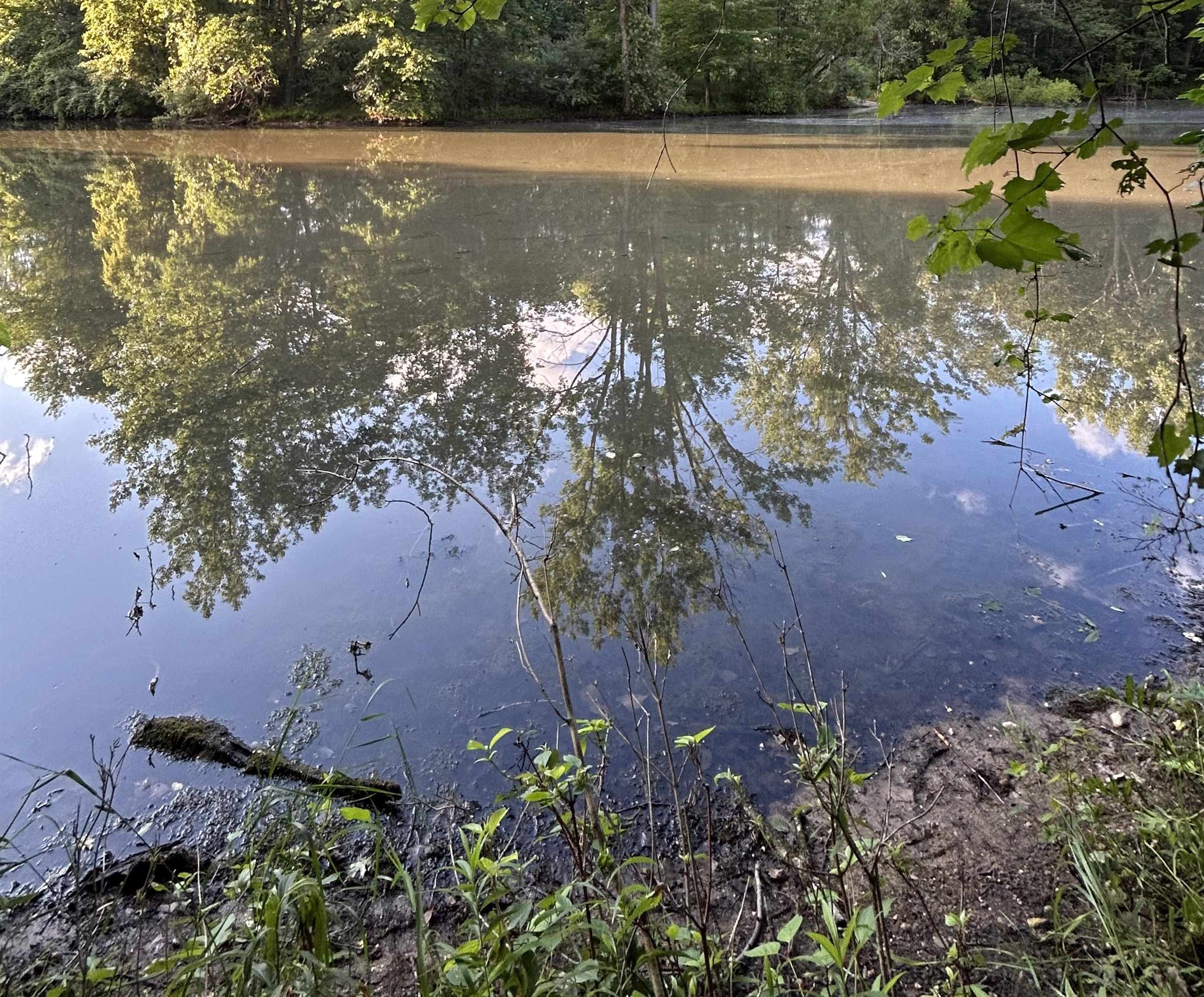 0 Whitetail Court Property Photo 1