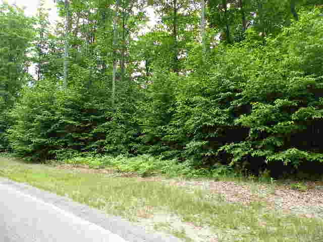 71 Broadwinged Way Property Photo 7