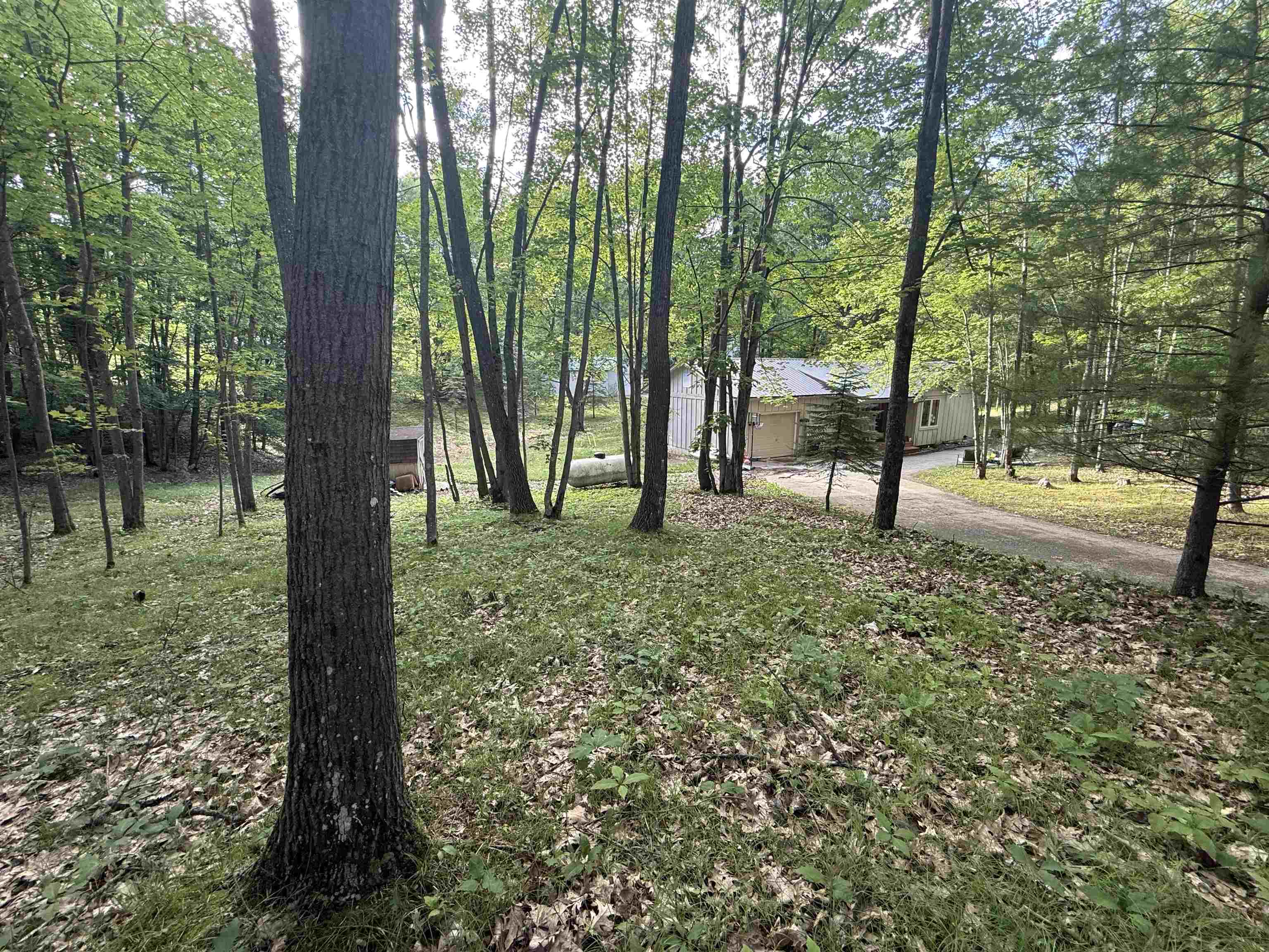 189 Forest Trail Property Photo 14