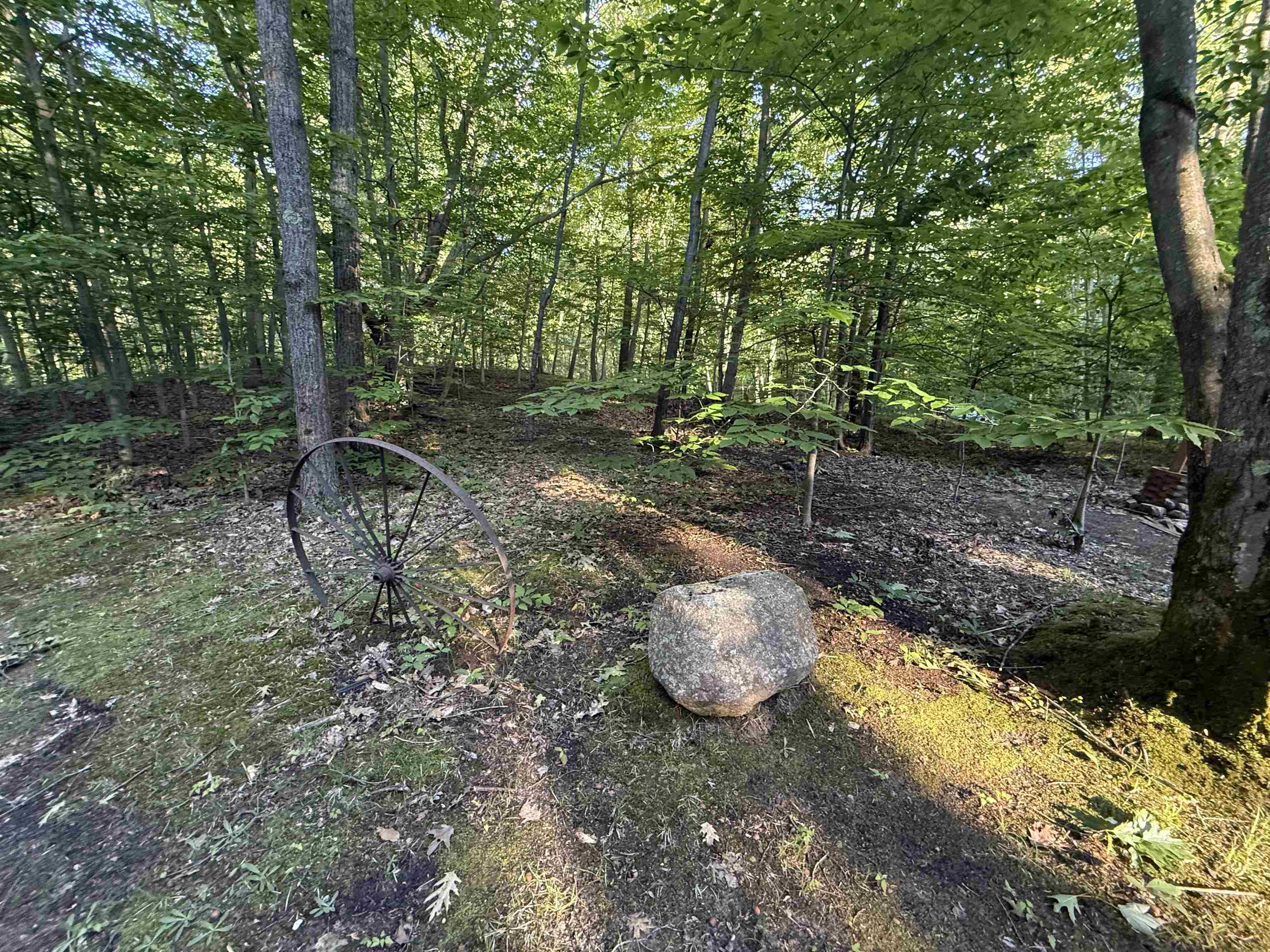 189 Forest Trail Property Photo 18