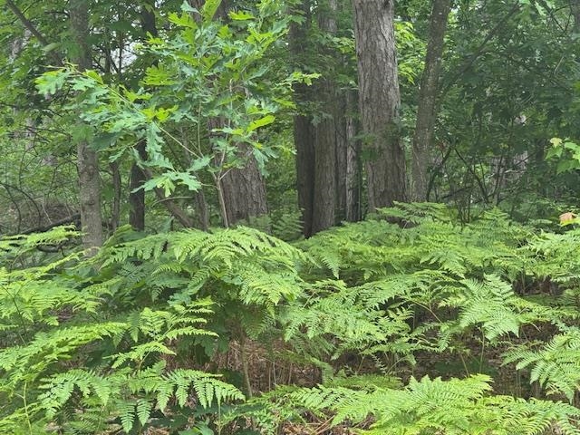10384 W Rosted Road Property Photo 3