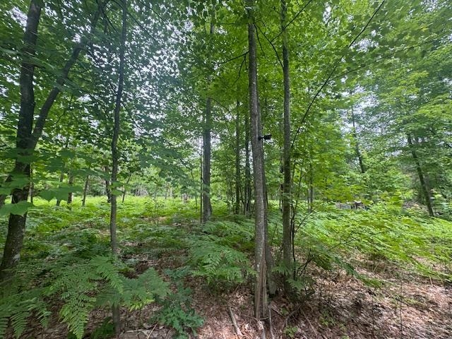 10384 W Rosted Road Property Photo 5