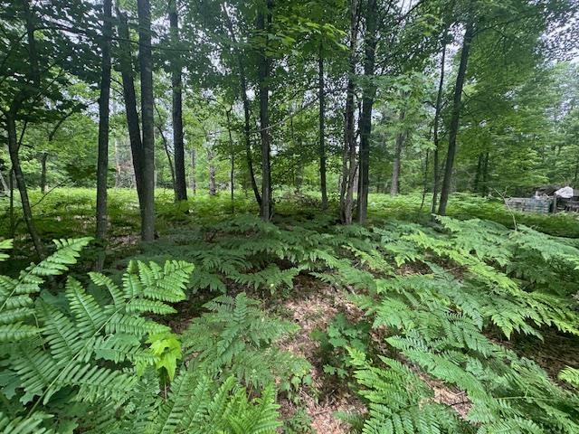 10384 W Rosted Road Property Photo 7