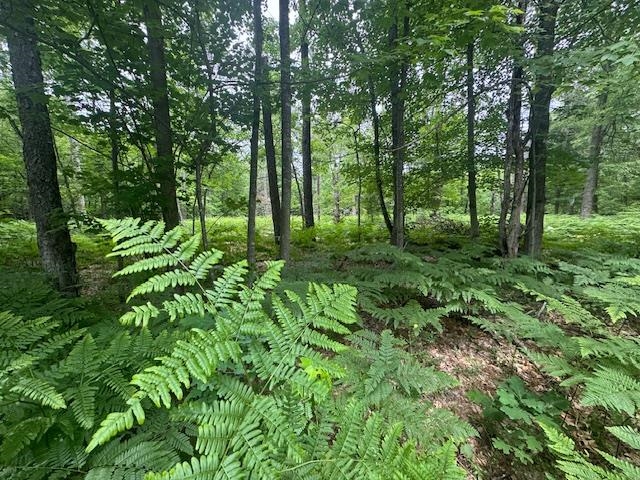 10384 W Rosted Road Property Photo 8