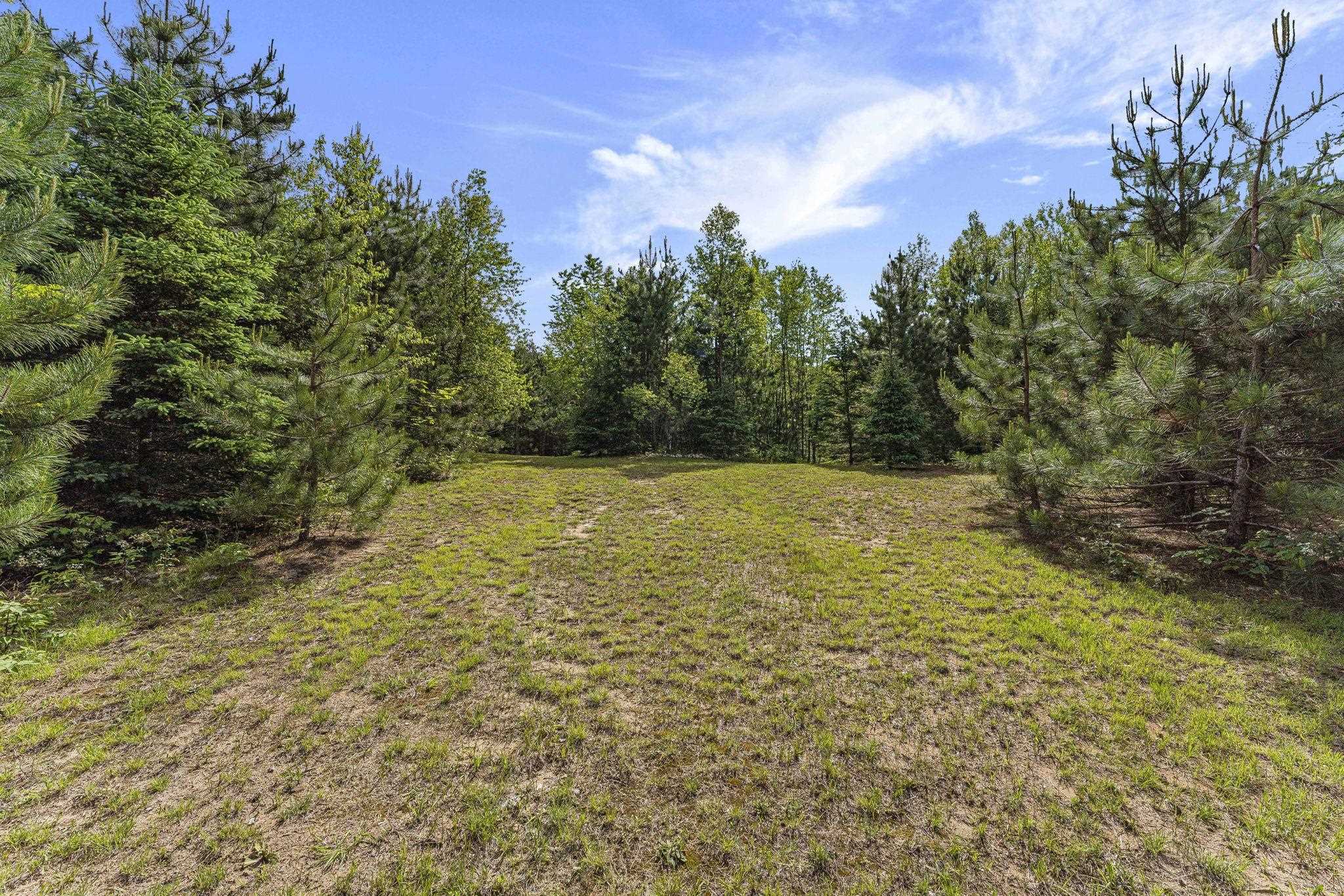 8767 Rustic Lane Property Photo 11
