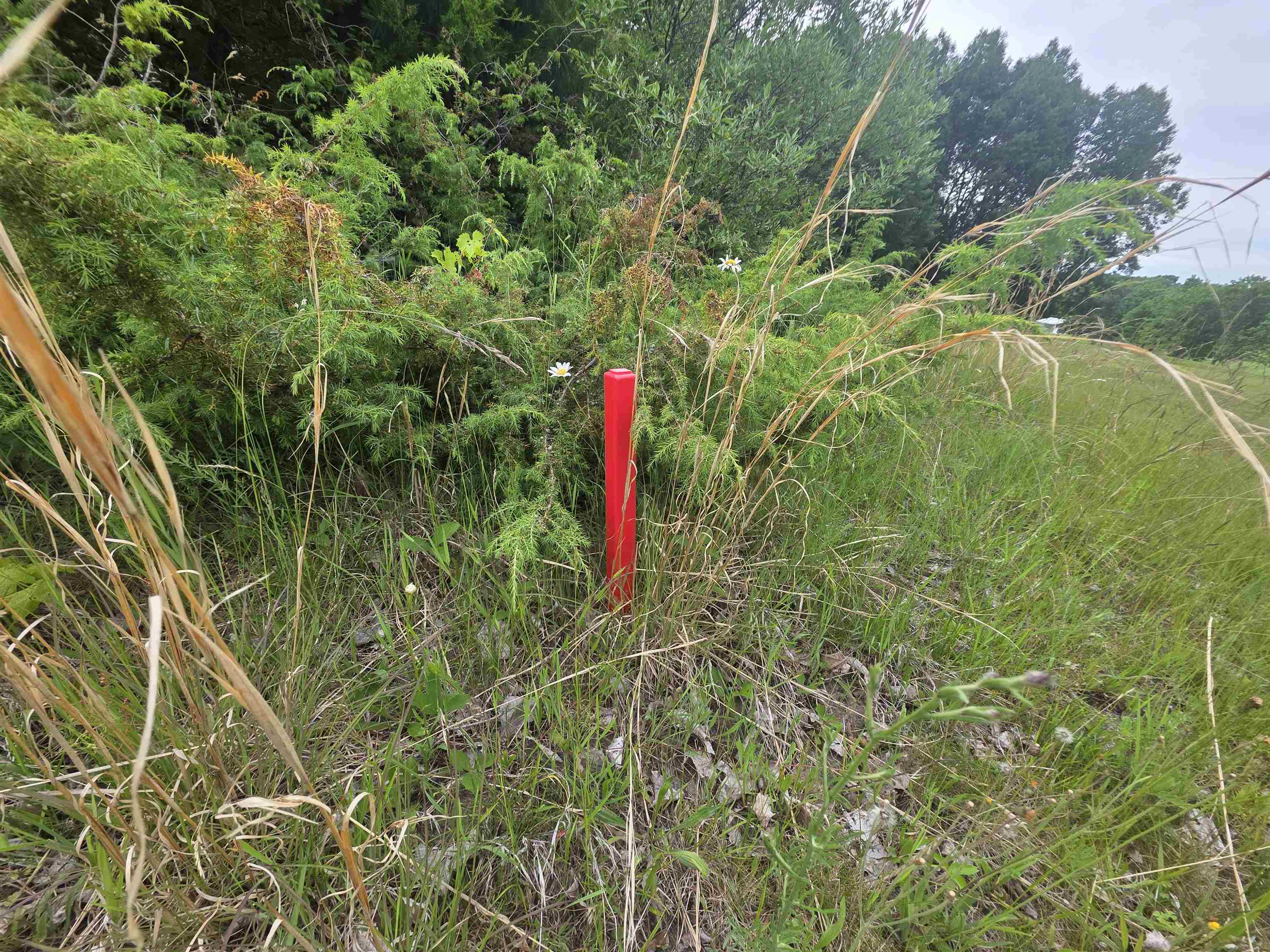 00 Lakeview Trail Property Photo 11