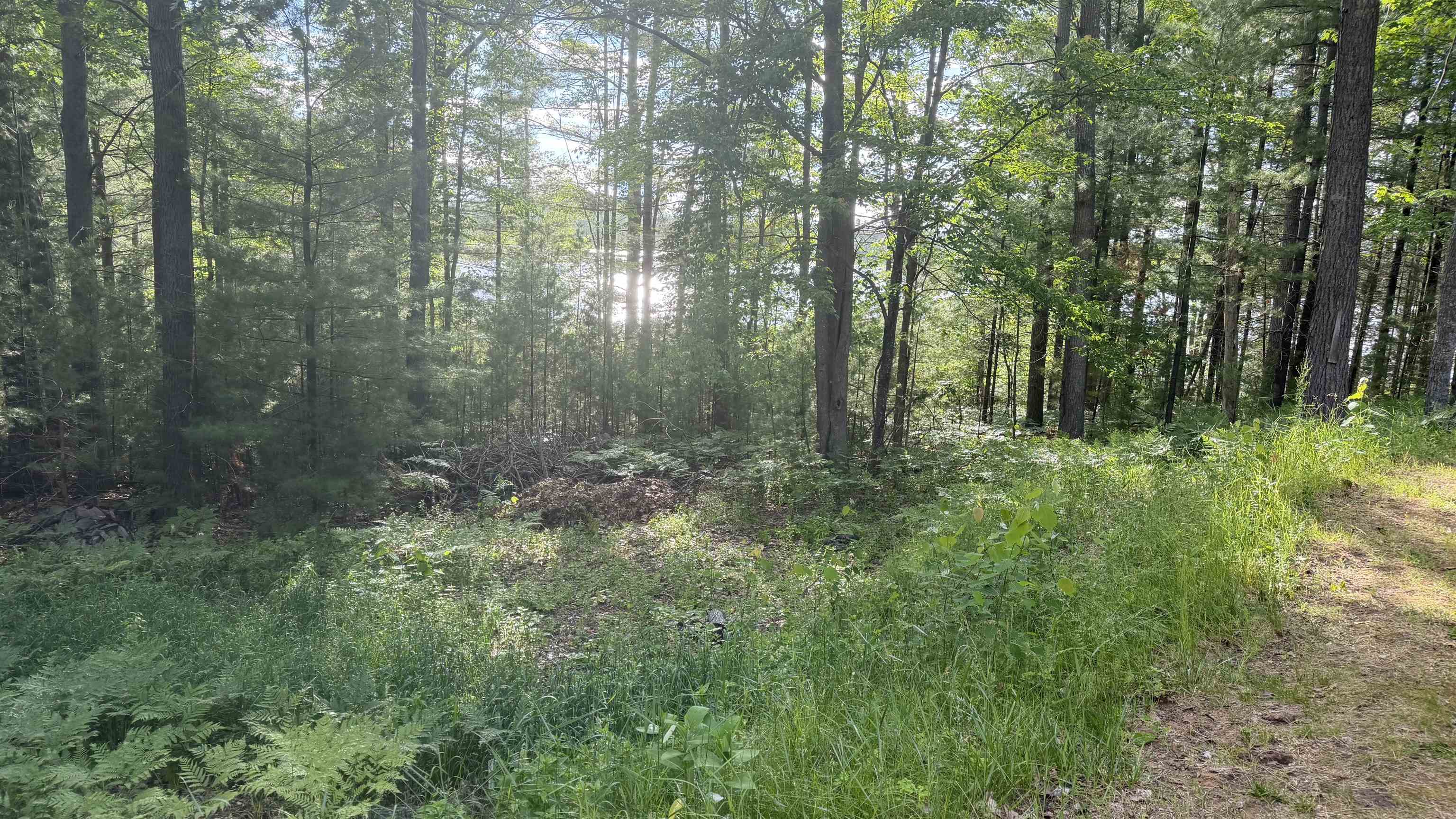 14054 W Pointe Road Property Photo 26