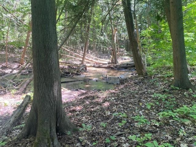 6865 Pinebrook Drive Property Photo 31