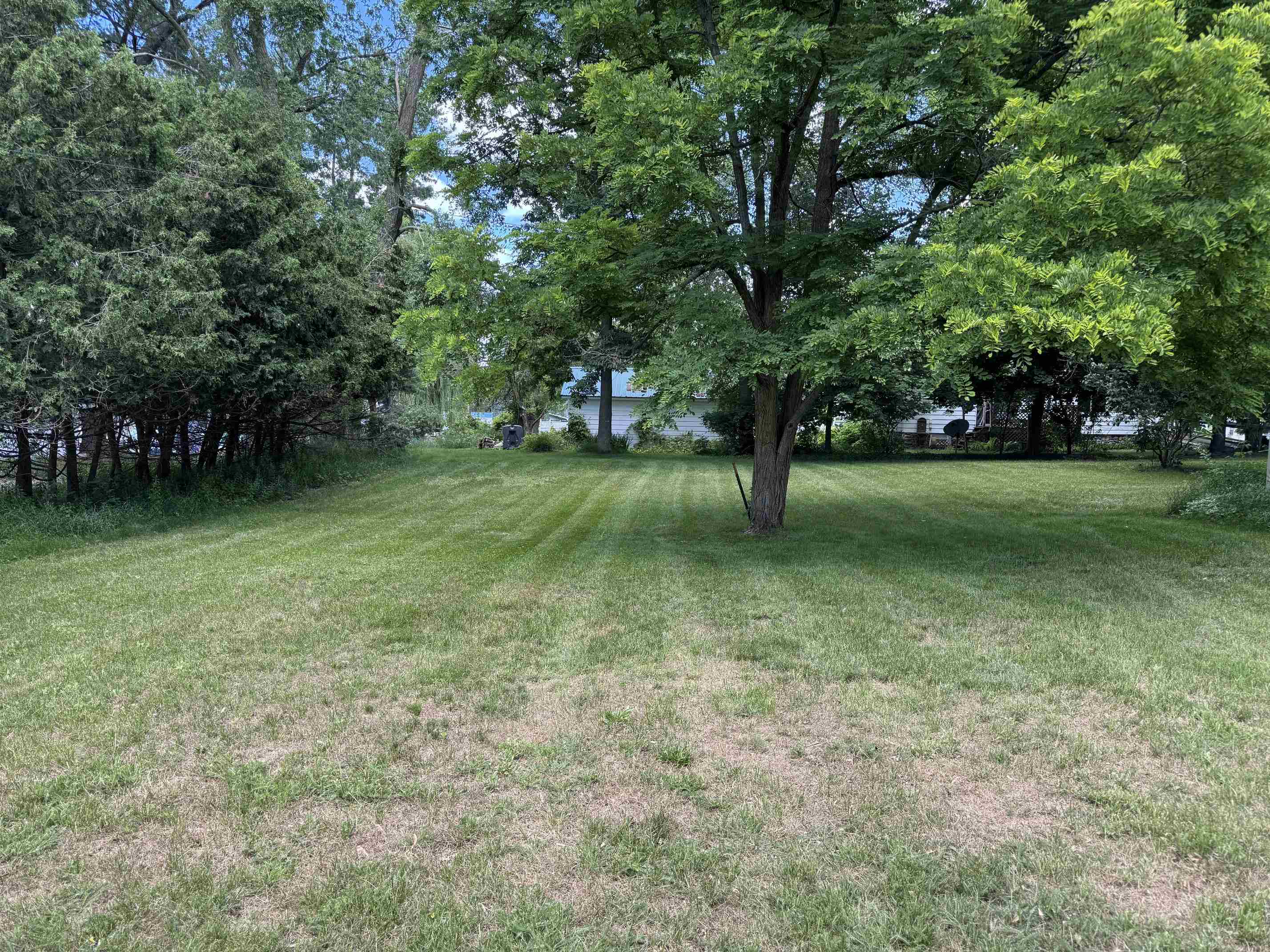 225 N Hayes Street Property Photo 18