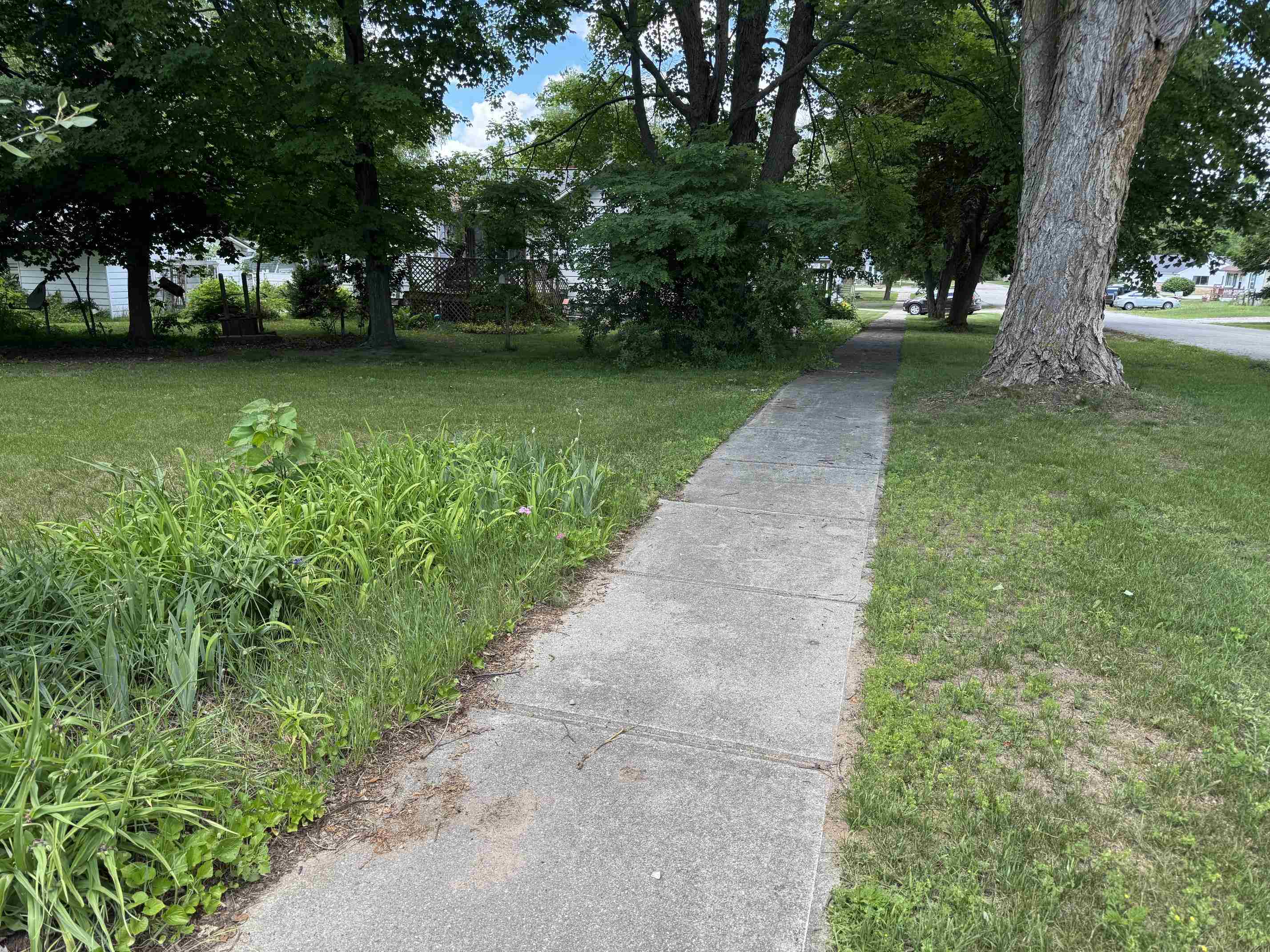 225 N Hayes Street Property Photo 23
