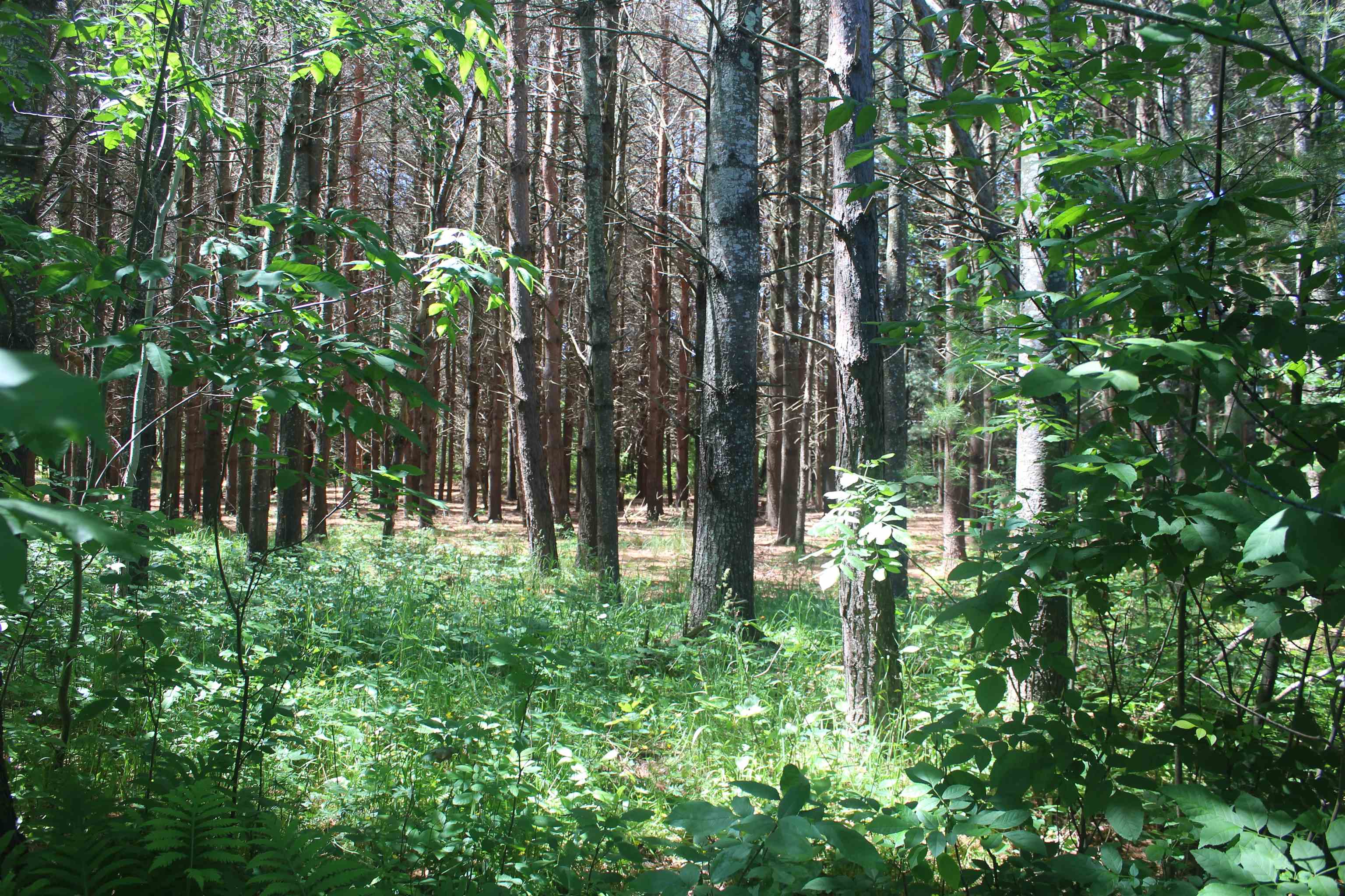 00 Stone Circle Drive Property Photo 1