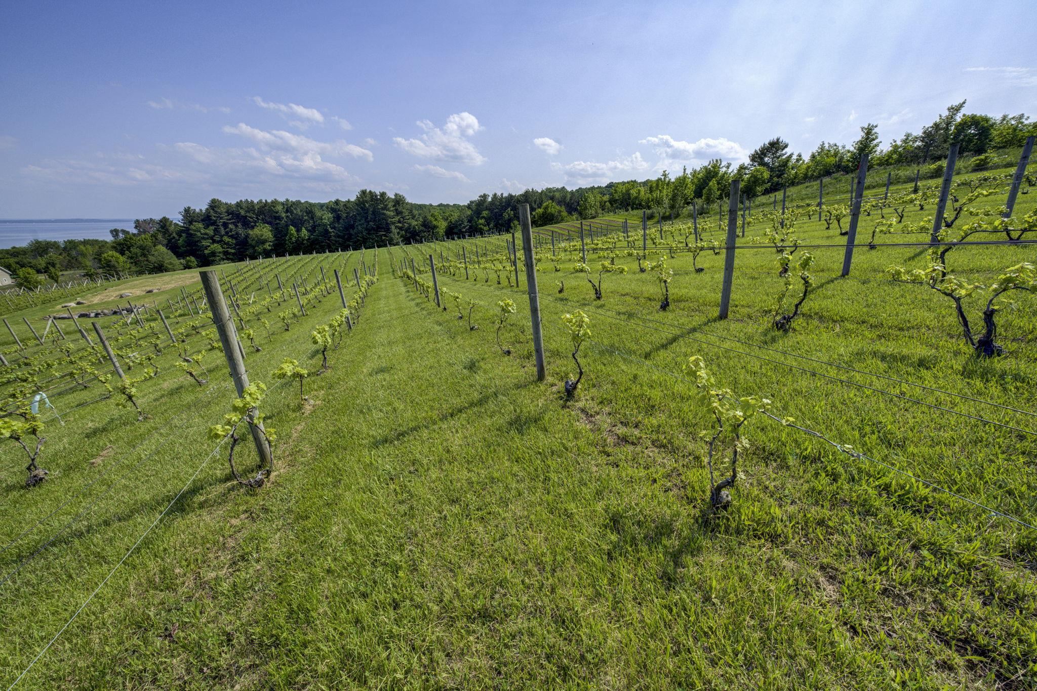 10702 E Hilltop Road Property Photo 9