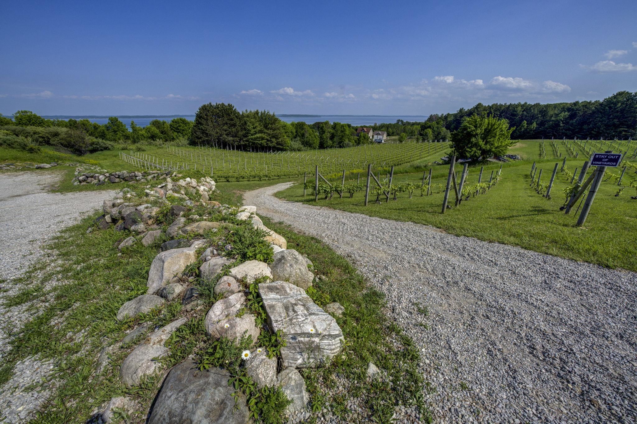 10702 E Hilltop Road Property Photo 12