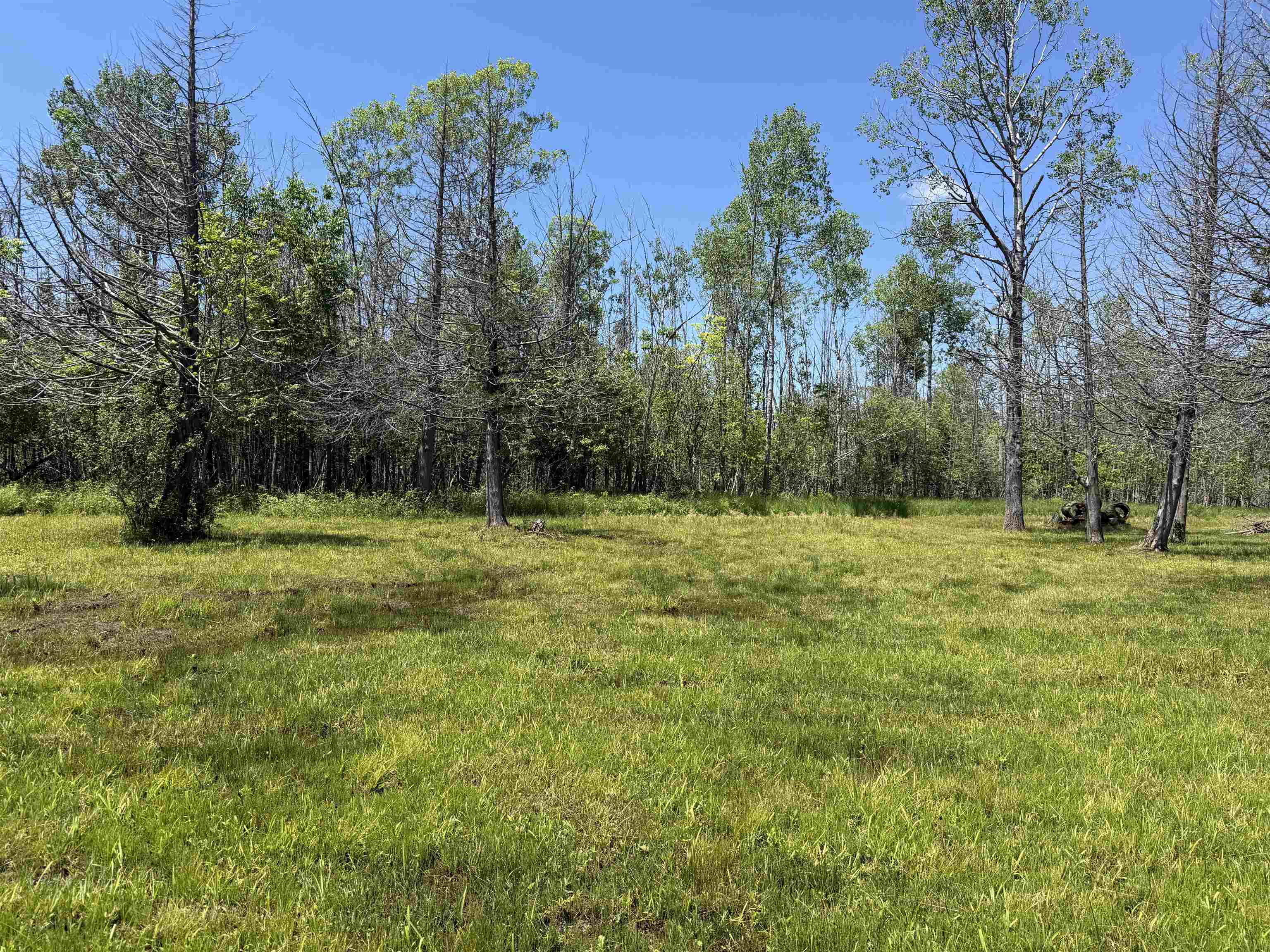 6263 East Jordan Road Property Photo 31